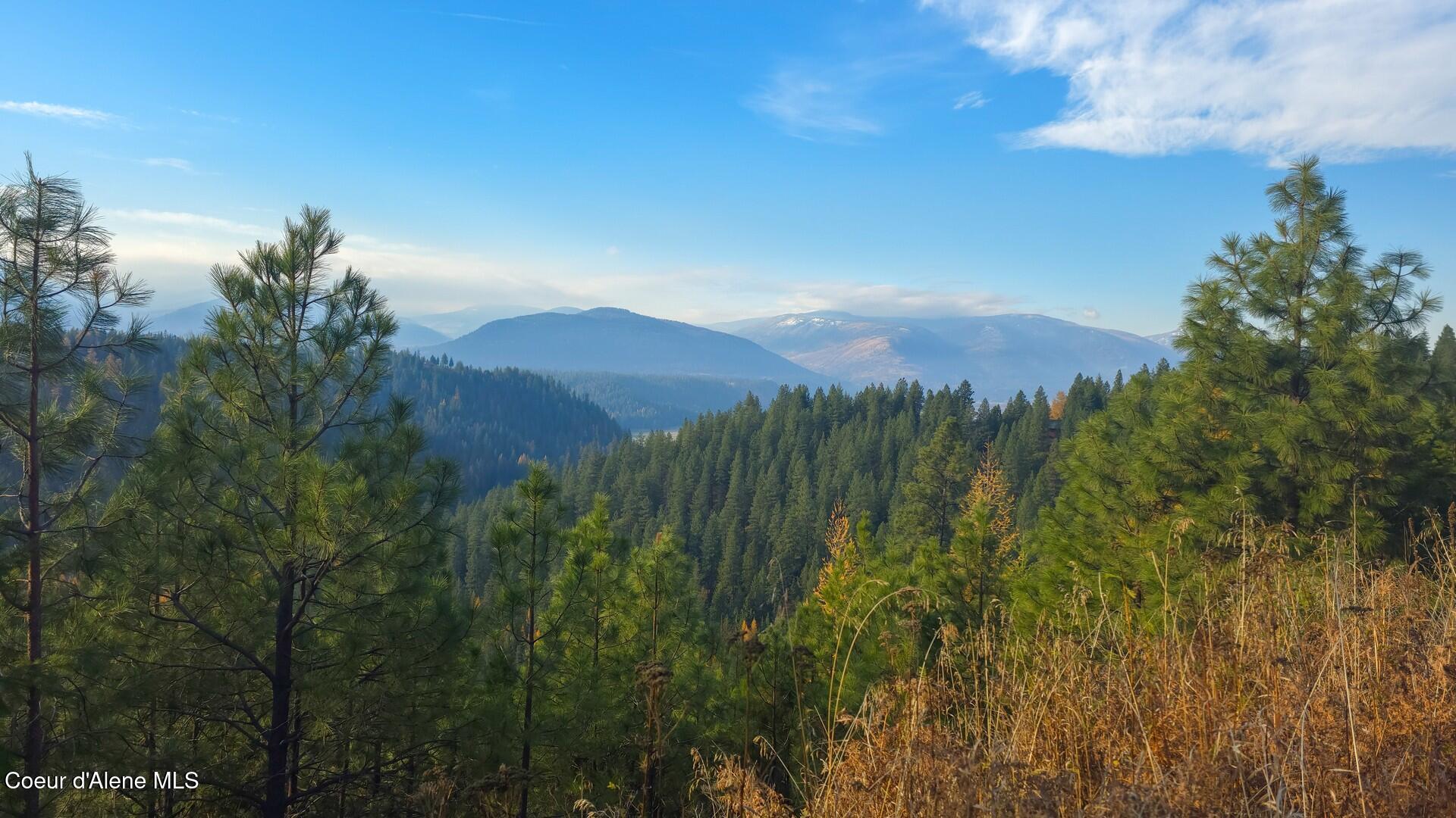 NNA Turtle Court, Bonners Ferry, Idaho image 2