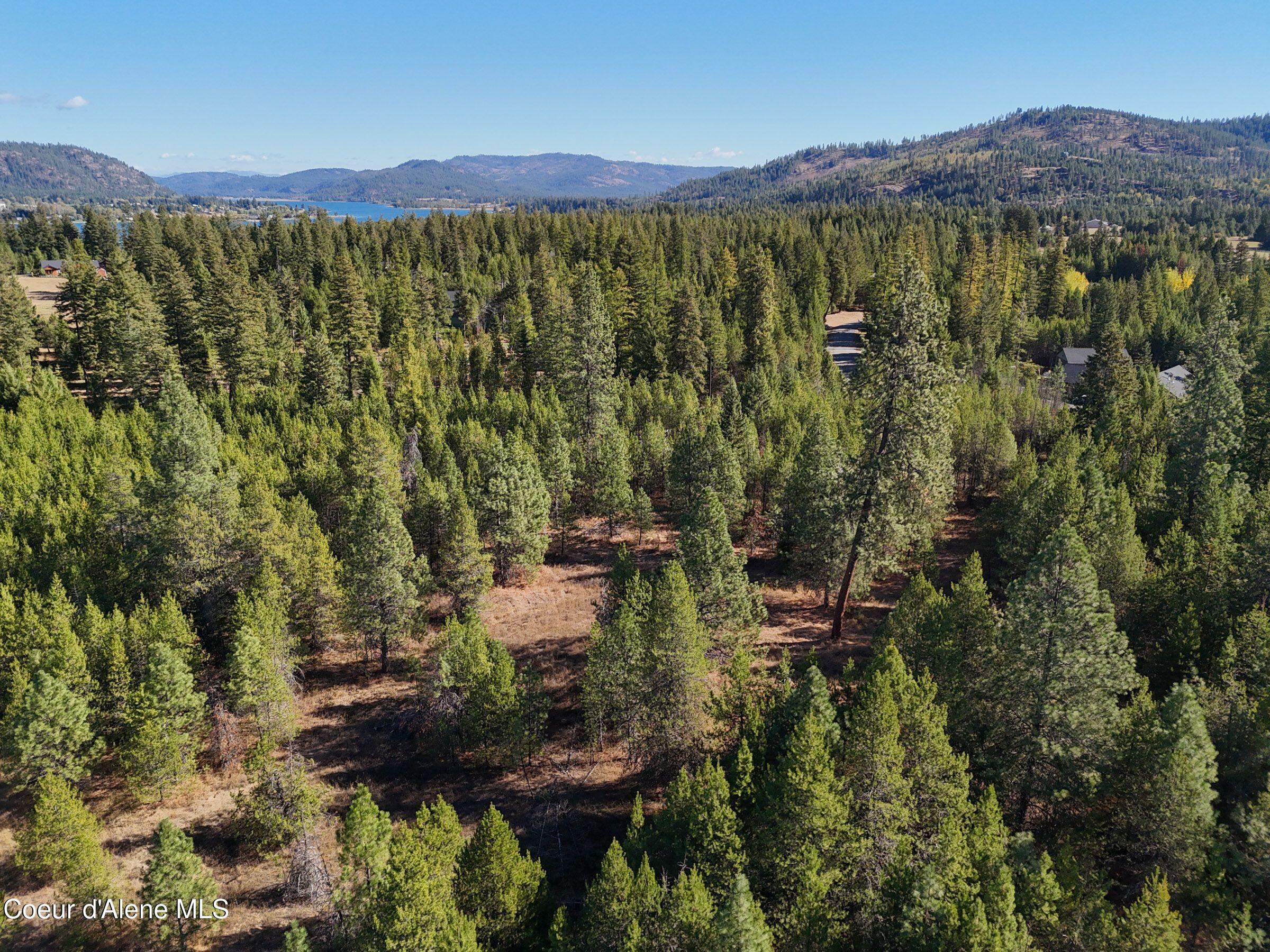 NNA Deeter Dr (lot2), Priest River, Texas image 26