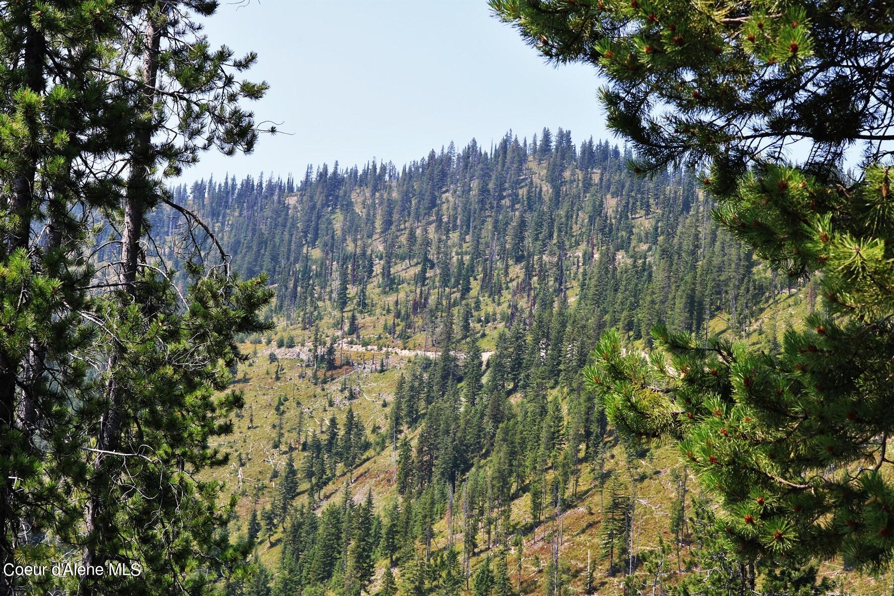 Star Claim 9 & 11 Daisy Gulch Rd, Mullan, Idaho image 11