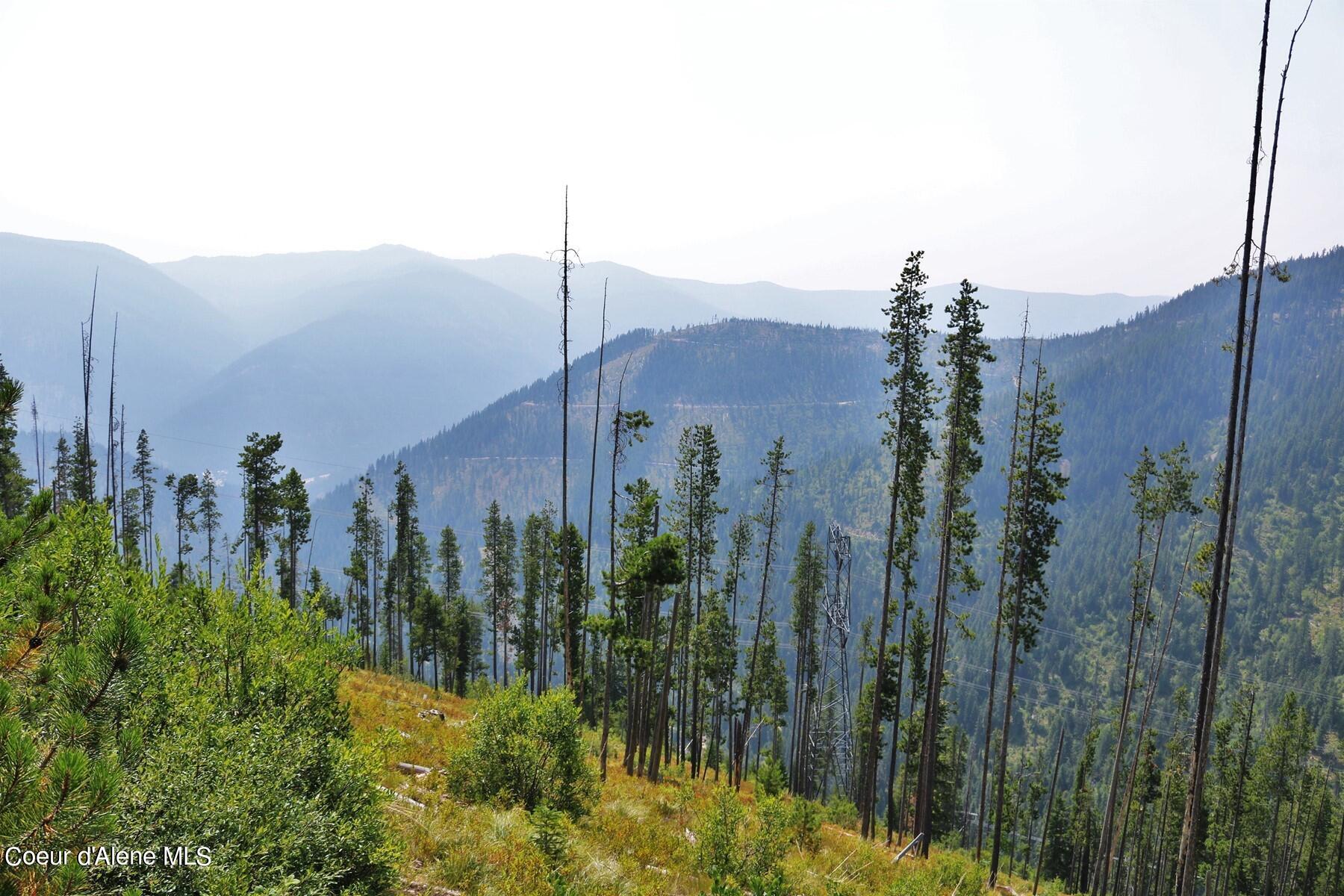 Star Claim 9 & 11 Daisy Gulch Rd, Mullan, Idaho image 3