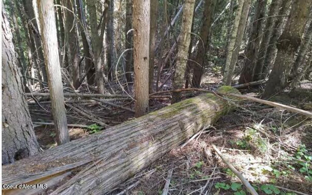 Photo of 317 Ridge, St. Maries, ID 83861 (MLS # 26-3621)