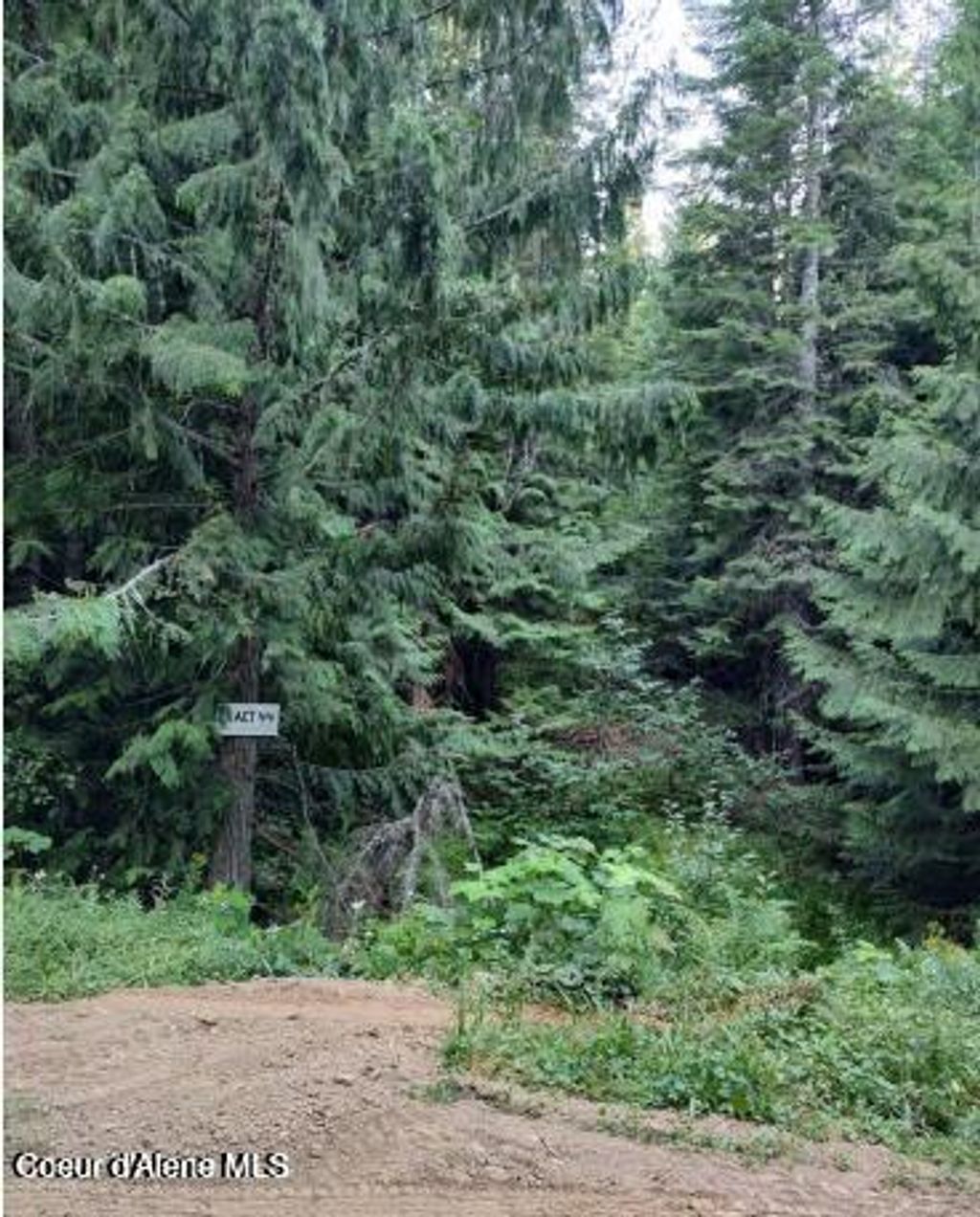 Photo of 317 Ridge, St. Maries, ID 83861 (MLS # 26-3621)