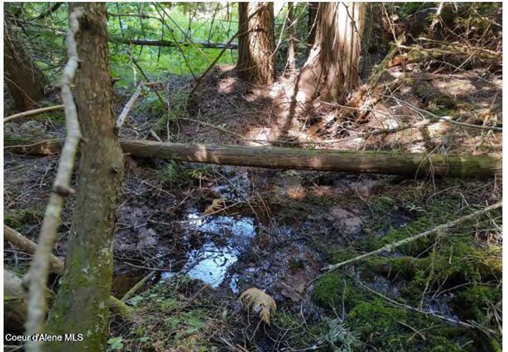 Photo of 317 Ridge, St. Maries, ID 83861 (MLS # 26-3621)