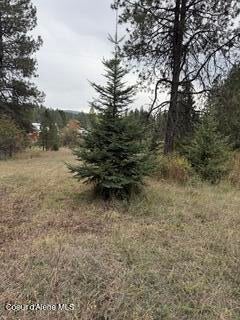 Photo of NNA LAST CHANCE, Coeur dAlene, ID 83814 (MLS # 26-10391)