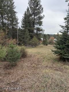 Photo of NNA LAST CHANCE, Coeur dAlene, ID 83814 (MLS # 26-10391)