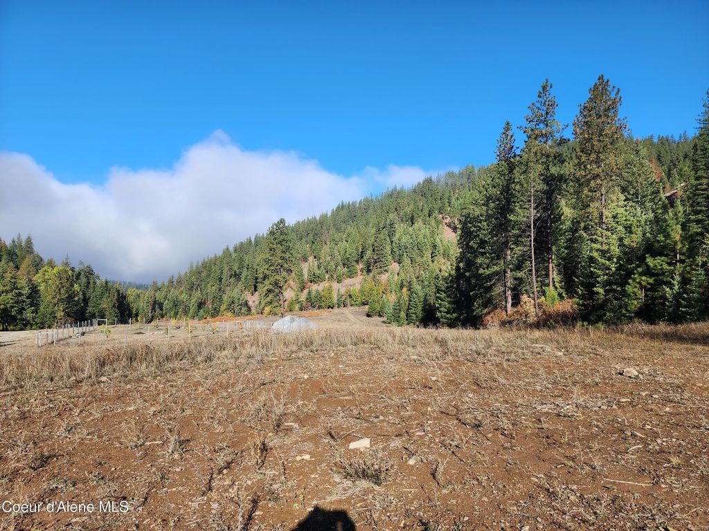 Photo of 20308 CANARY CREEK Creek, Cataldo, ID 83810 (MLS # 25-10396)