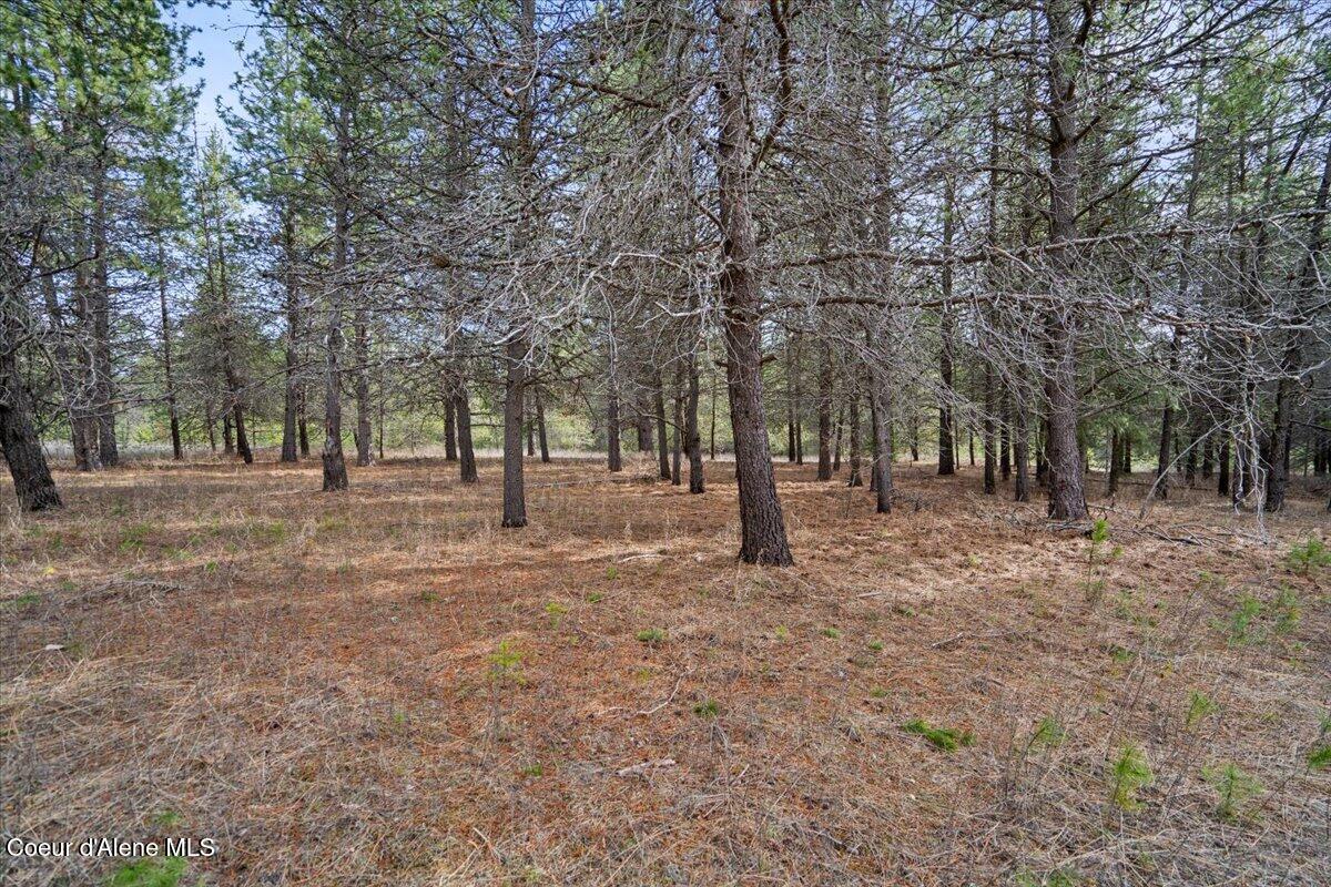 33482 N Charlotte Dr, Spirit Lake, Texas image 10