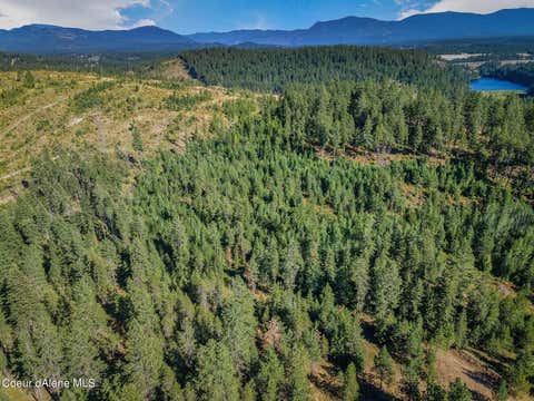 Vacant Land For Sale - L1 Smokewood<br/> Athol, ID 83801