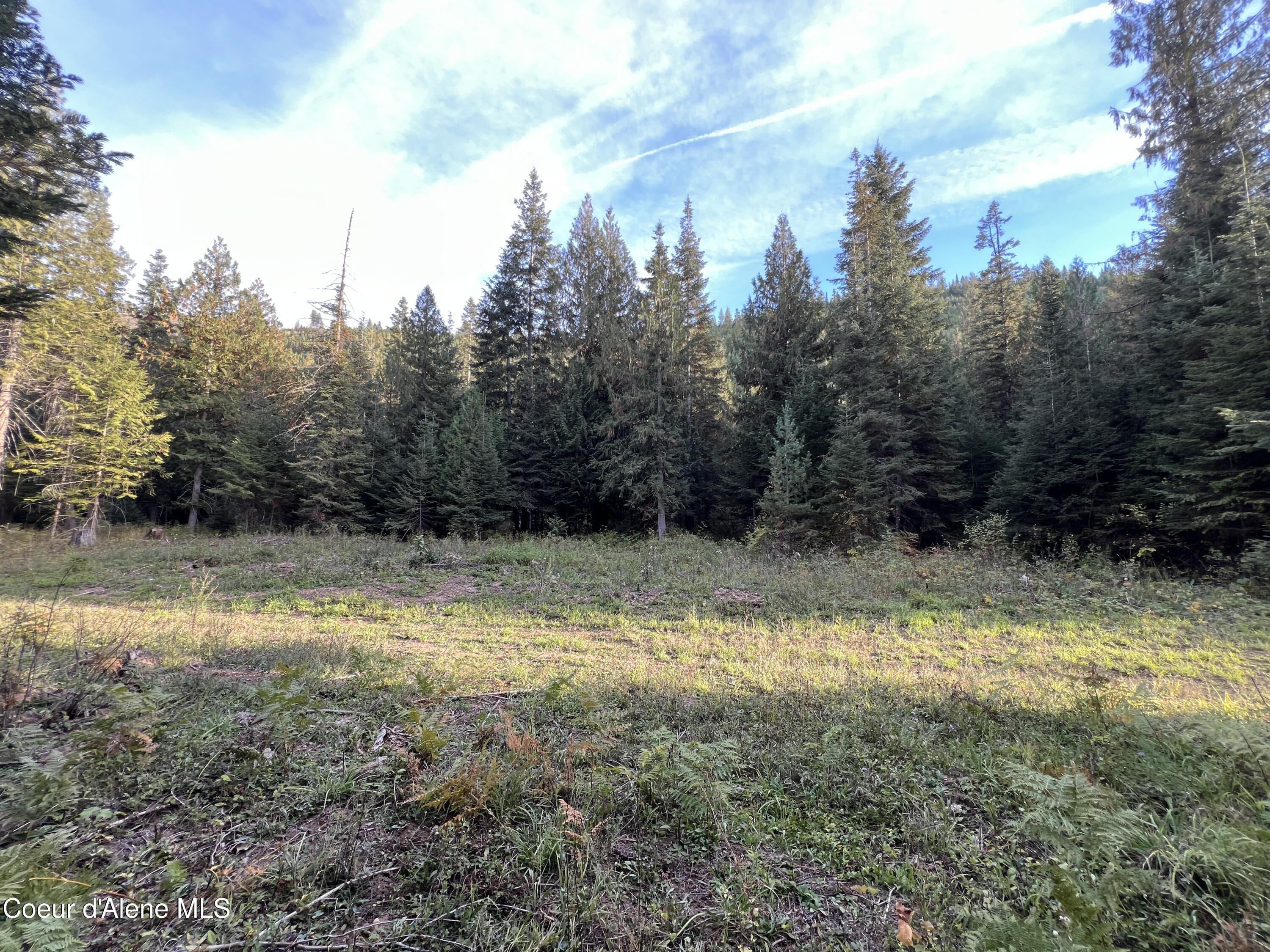 Lot 9 Bear Creek, Kingston, Idaho image 13