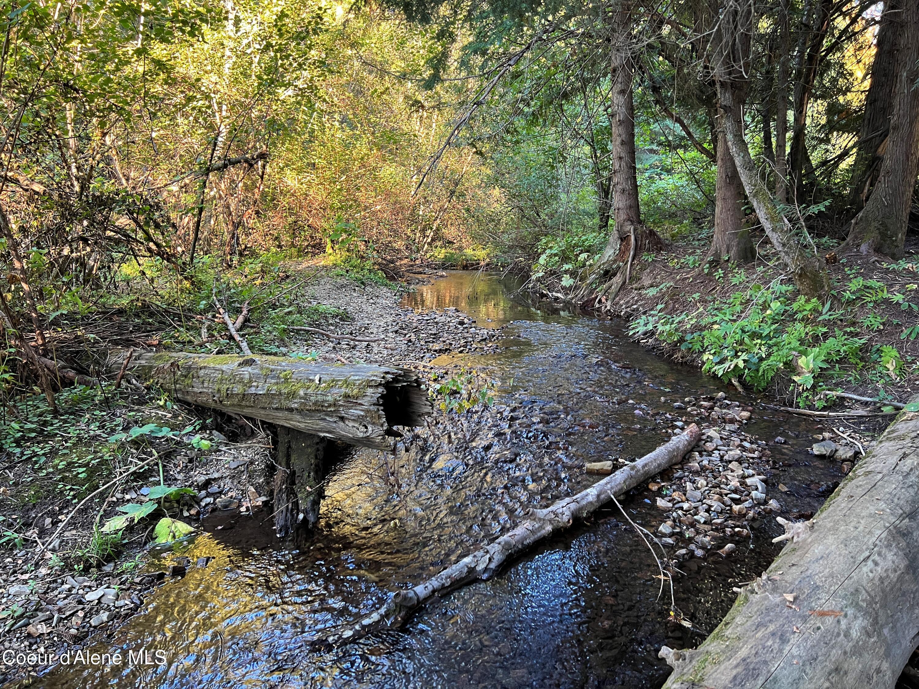 Lot 9 Bear Creek, Kingston, Idaho image 4