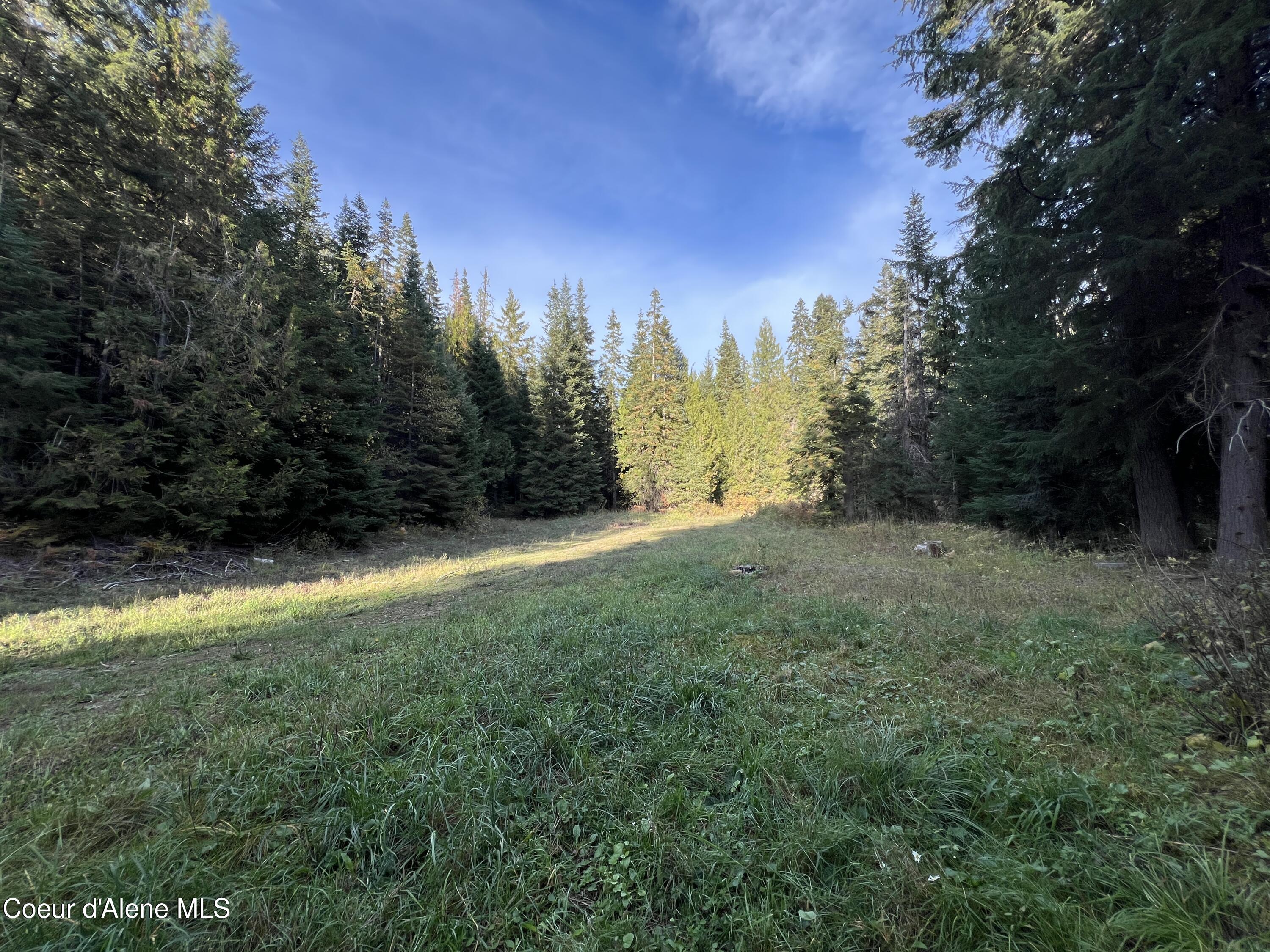 Lot 9 Bear Creek, Kingston, Idaho image 10