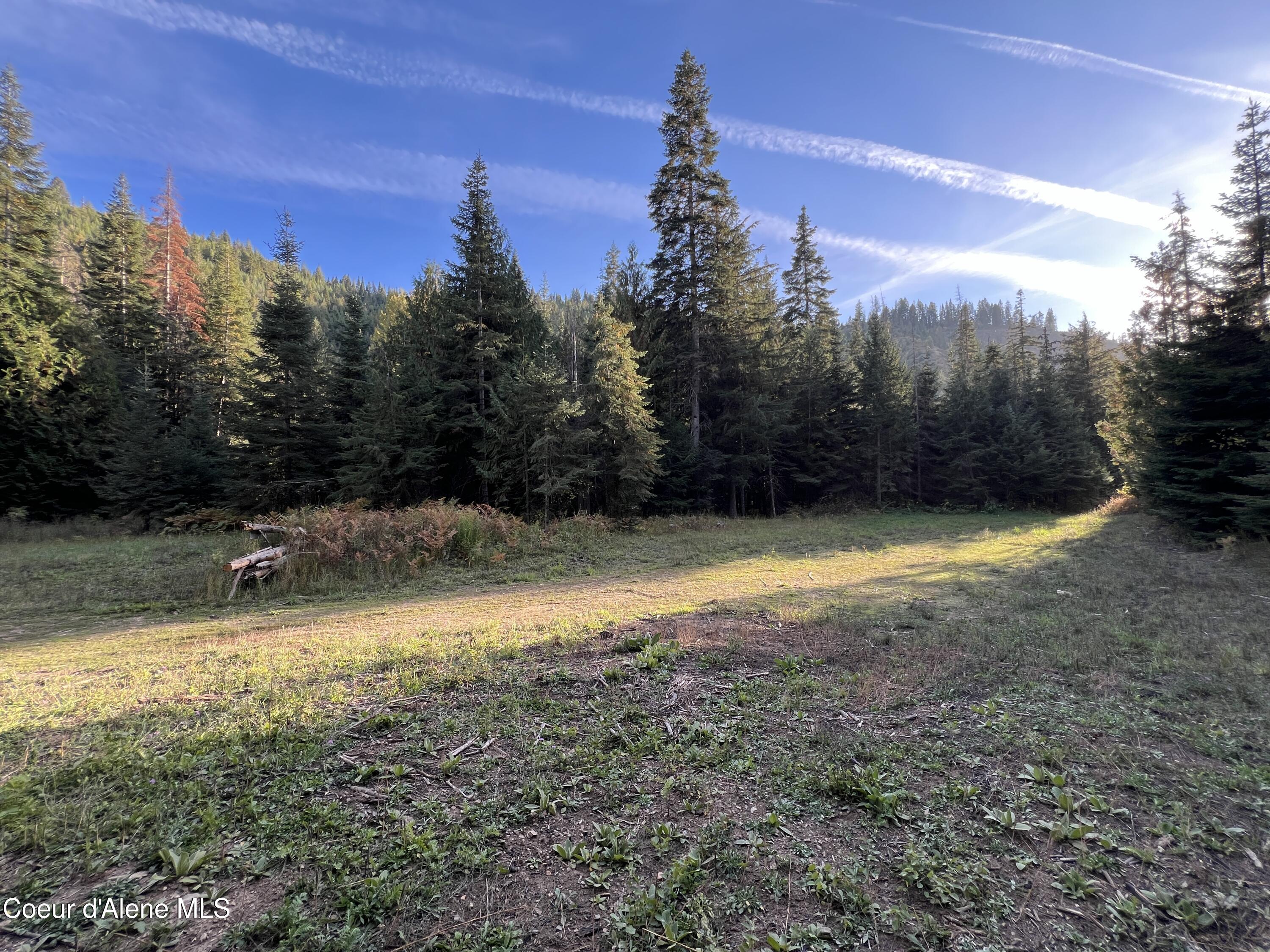 Lot 9 Bear Creek, Kingston, Idaho image 9