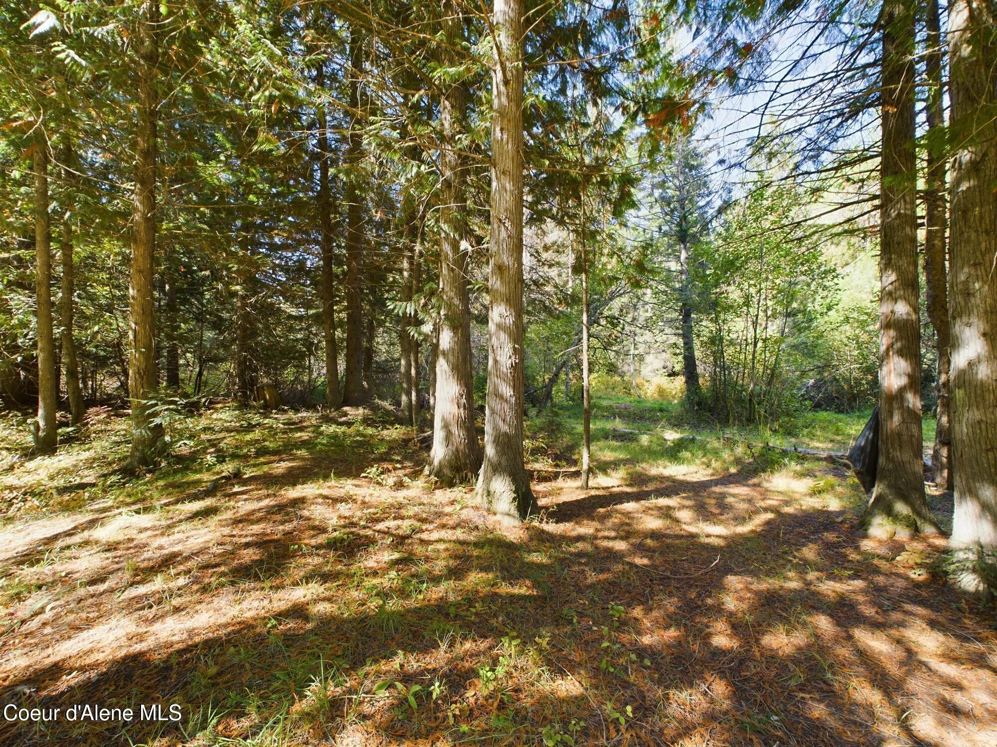 Lot 9 Bear Creek, Kingston, Idaho image 16