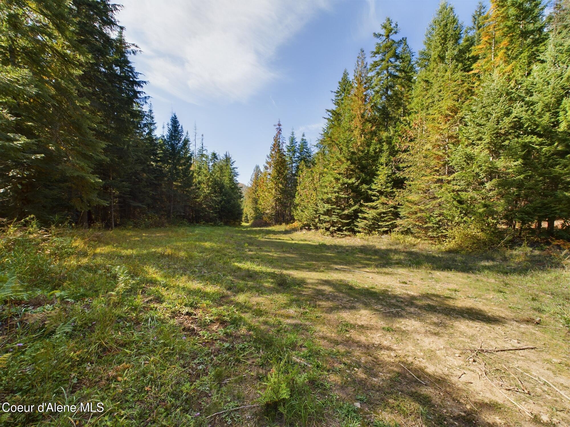 Lot 9 Bear Creek, Kingston, Idaho image 7