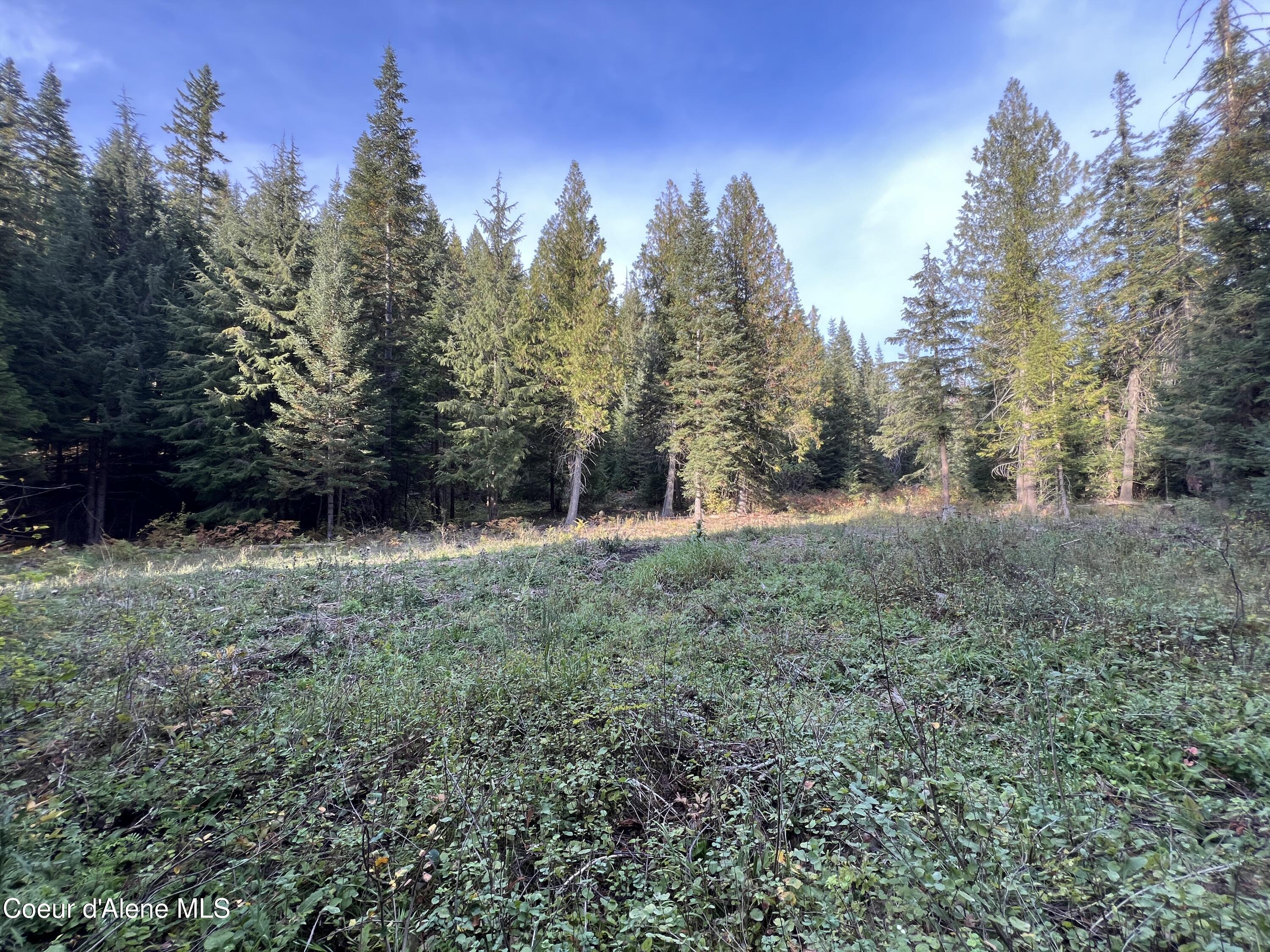 Lot 9 Bear Creek, Kingston, Idaho image 11