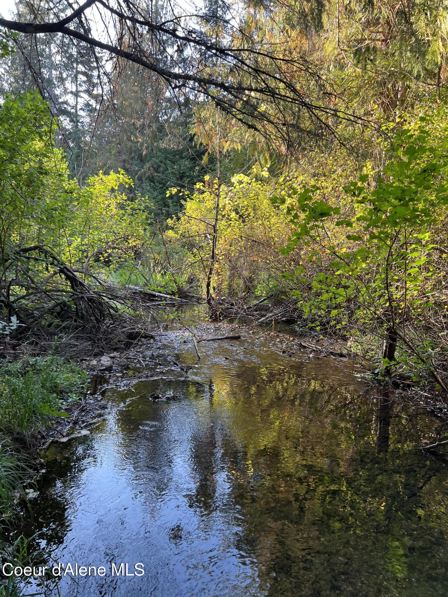 Lot 9 Bear Creek, Kingston, Idaho image 5