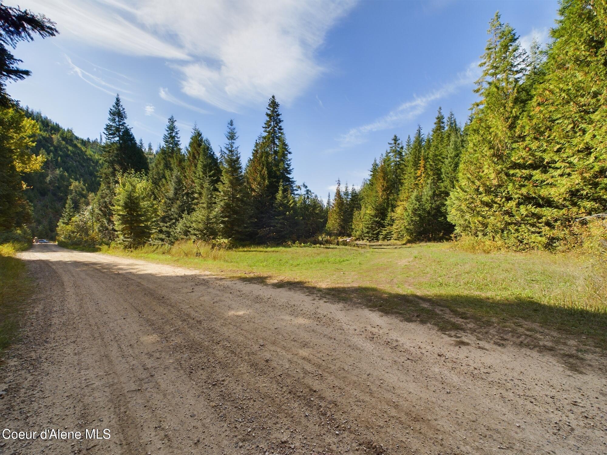 Lot 9 Bear Creek, Kingston, Idaho image 8