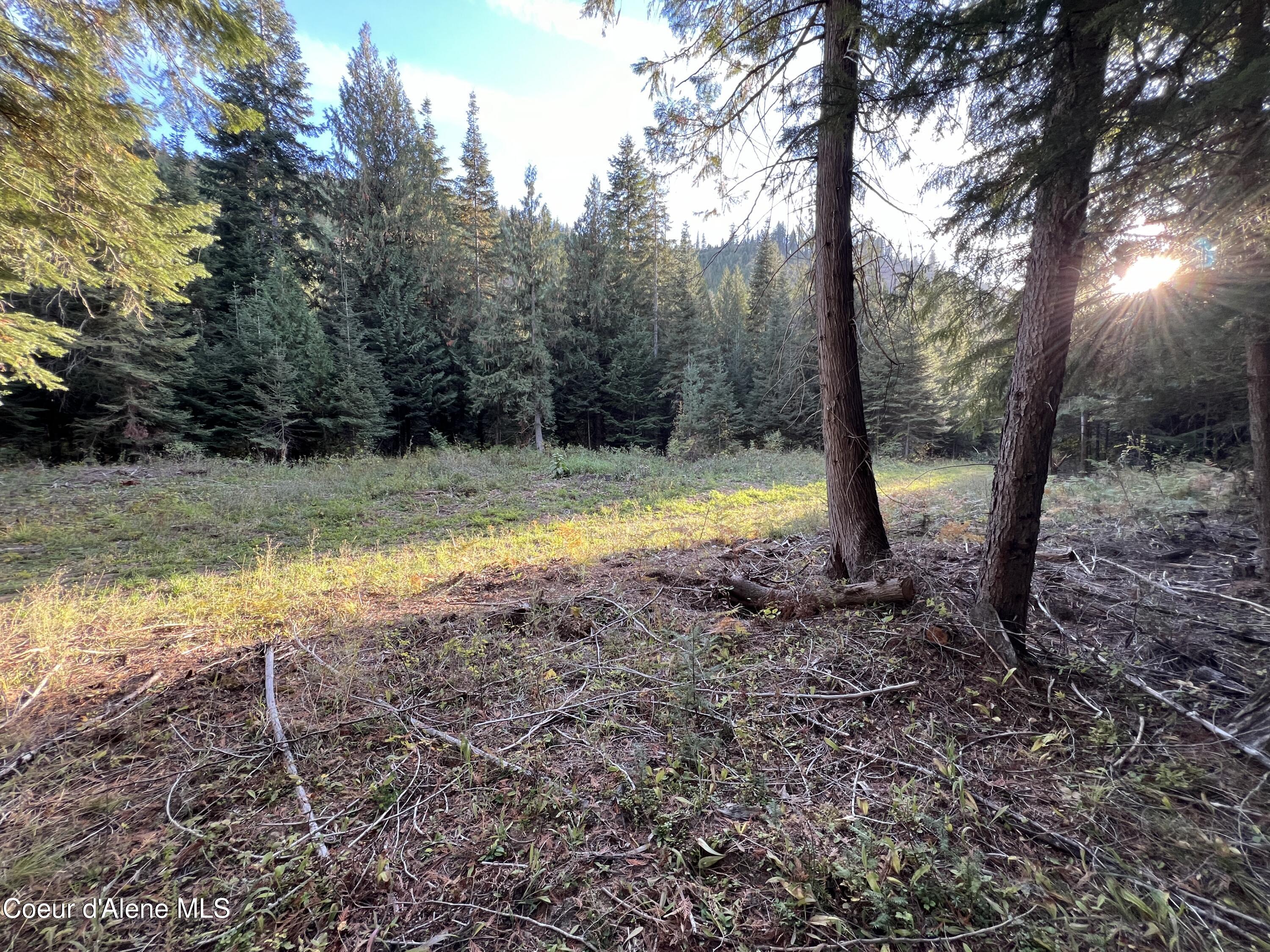 Lot 9 Bear Creek, Kingston, Idaho image 14