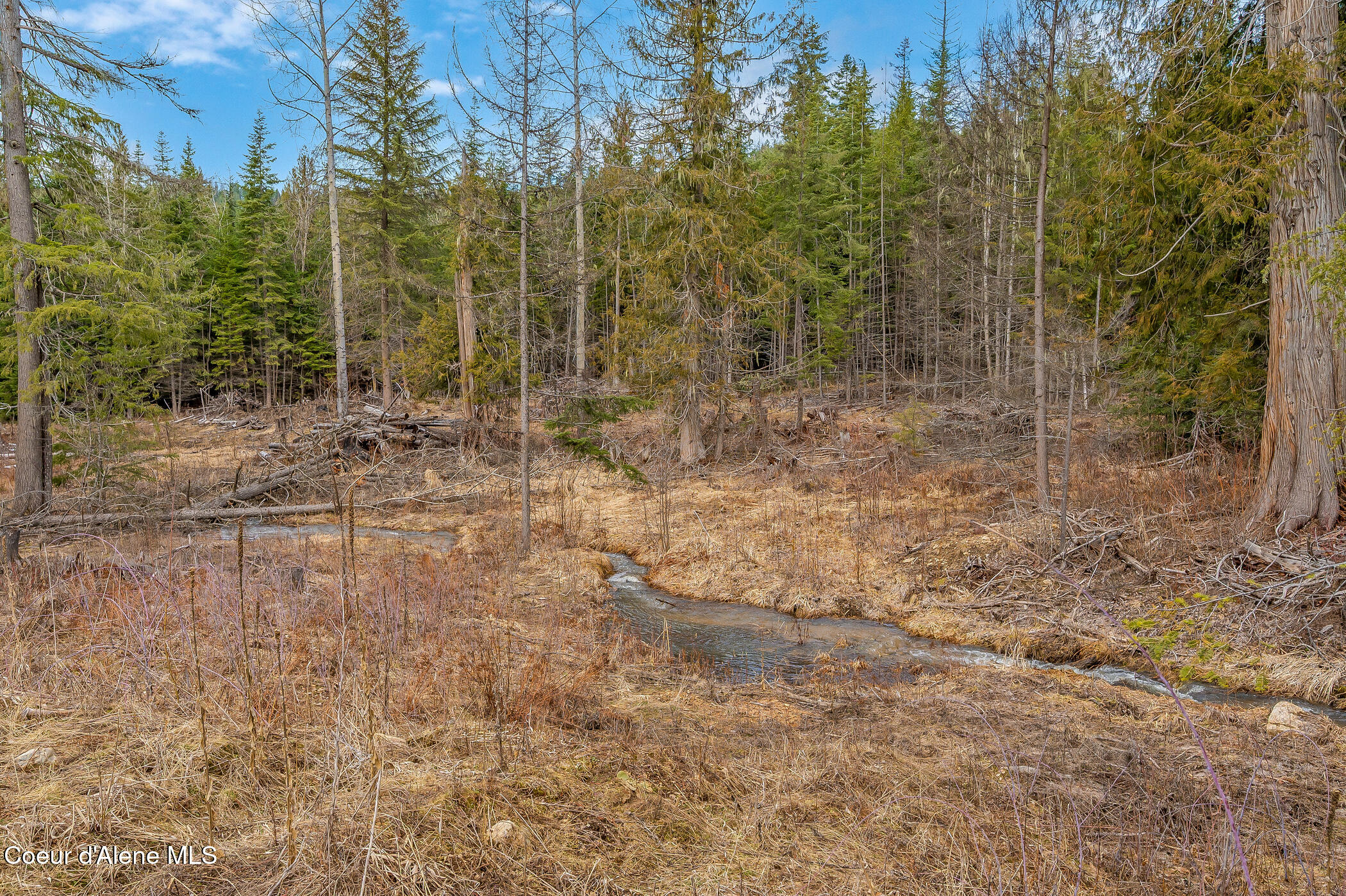 657 SW Fox Creek Spur #60, Priest River, Texas image 31