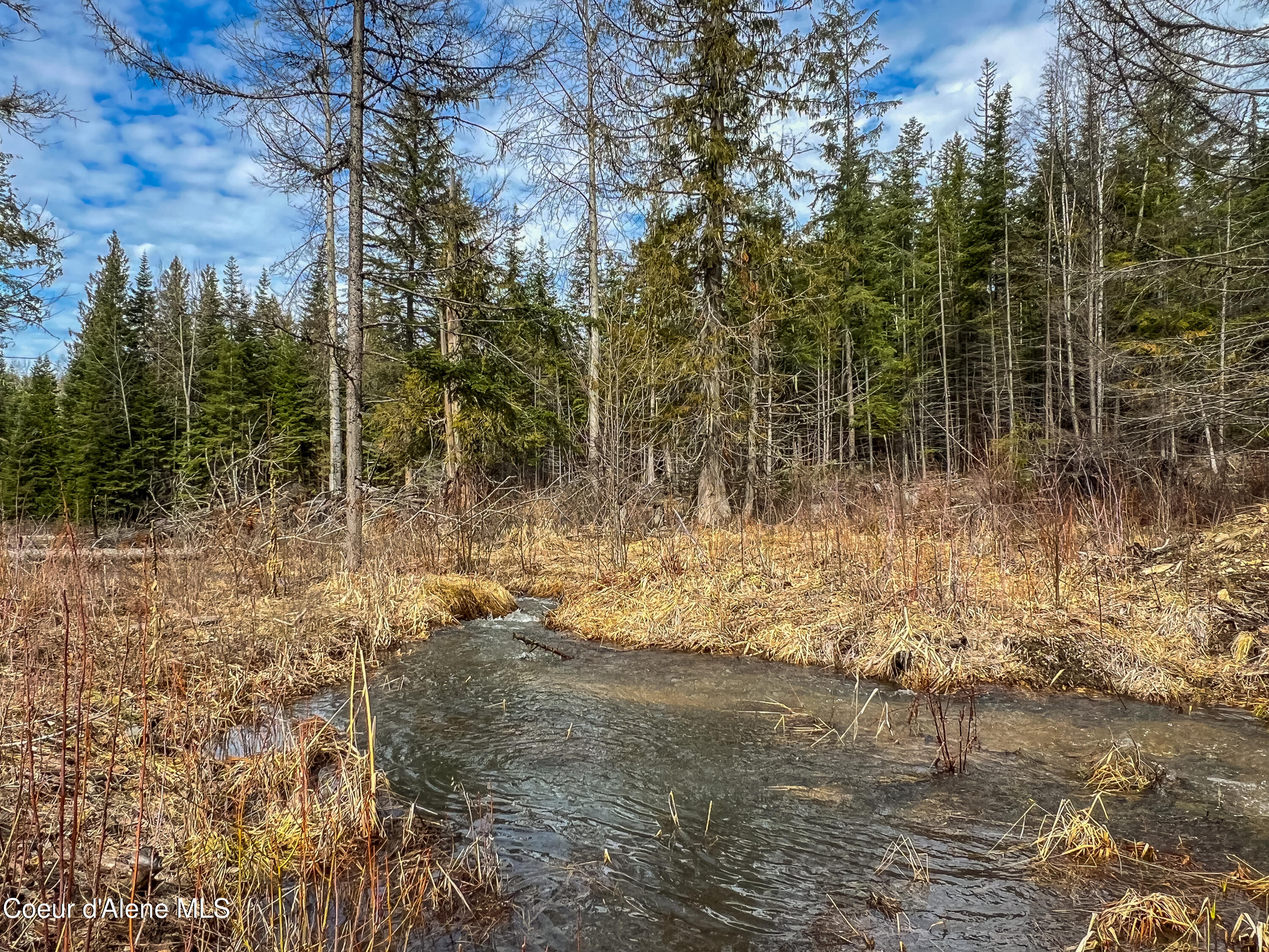 657 SW Fox Creek Spur #60, Priest River, Texas image 30