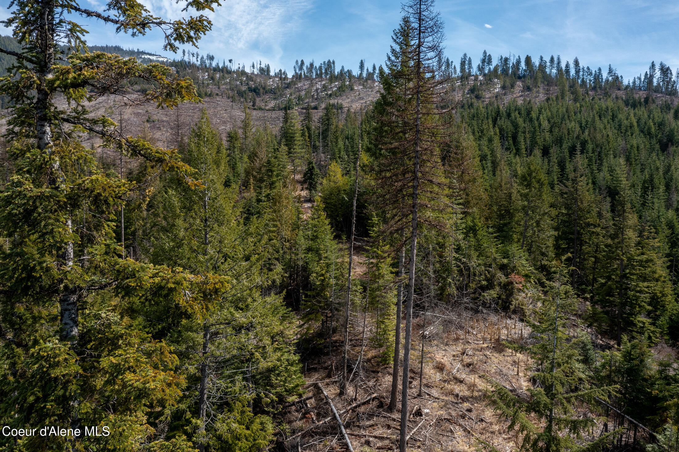 657 SW Fox Creek Spur #60, Priest River, Texas image 32
