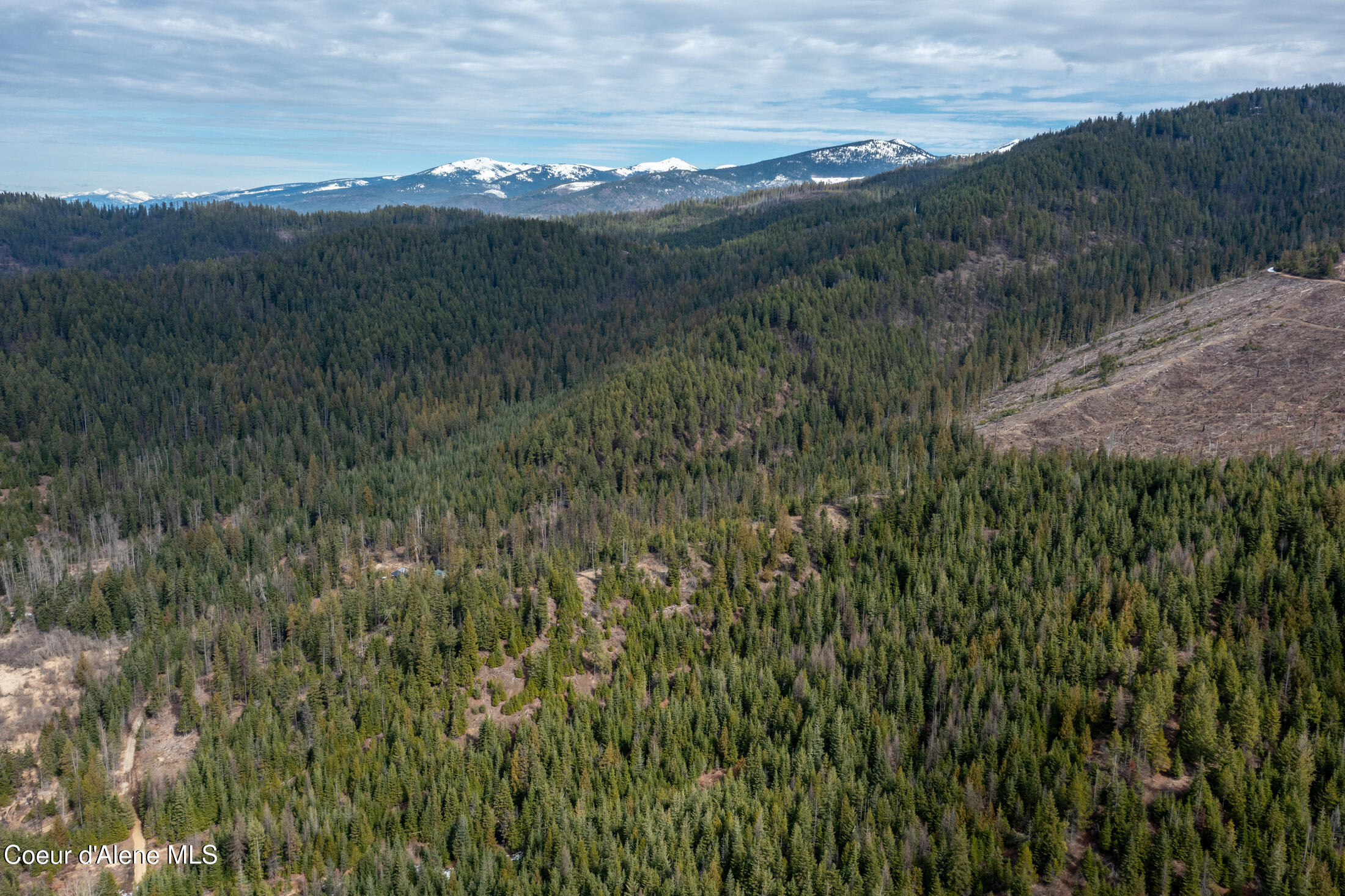 657 SW Fox Creek Spur #60, Priest River, Texas image 36