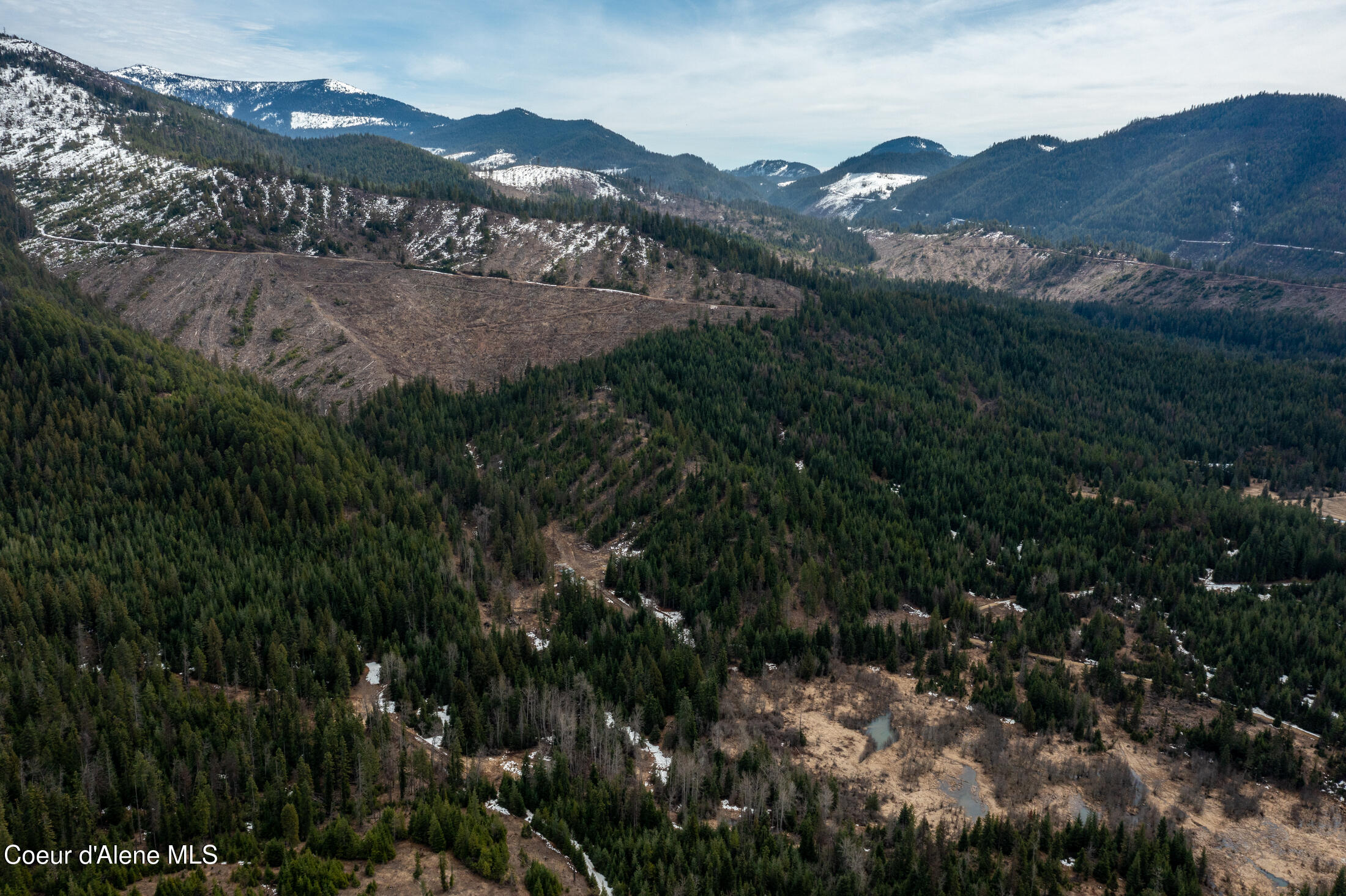 657 SW Fox Creek Spur #60, Priest River, Texas image 40