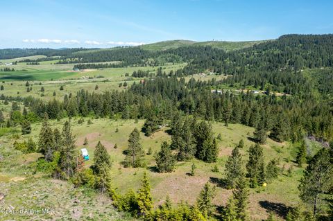 Vacant Land For Sale - NNA Windfall Pass Rd. Rd<br/> Plummer, ID 83851