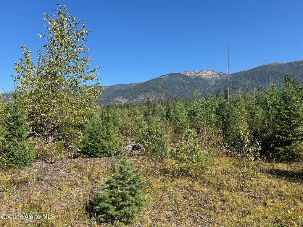 Photo of NKA Tract 4, Clark Fork, ID 83811 (MLS # 25-9928)