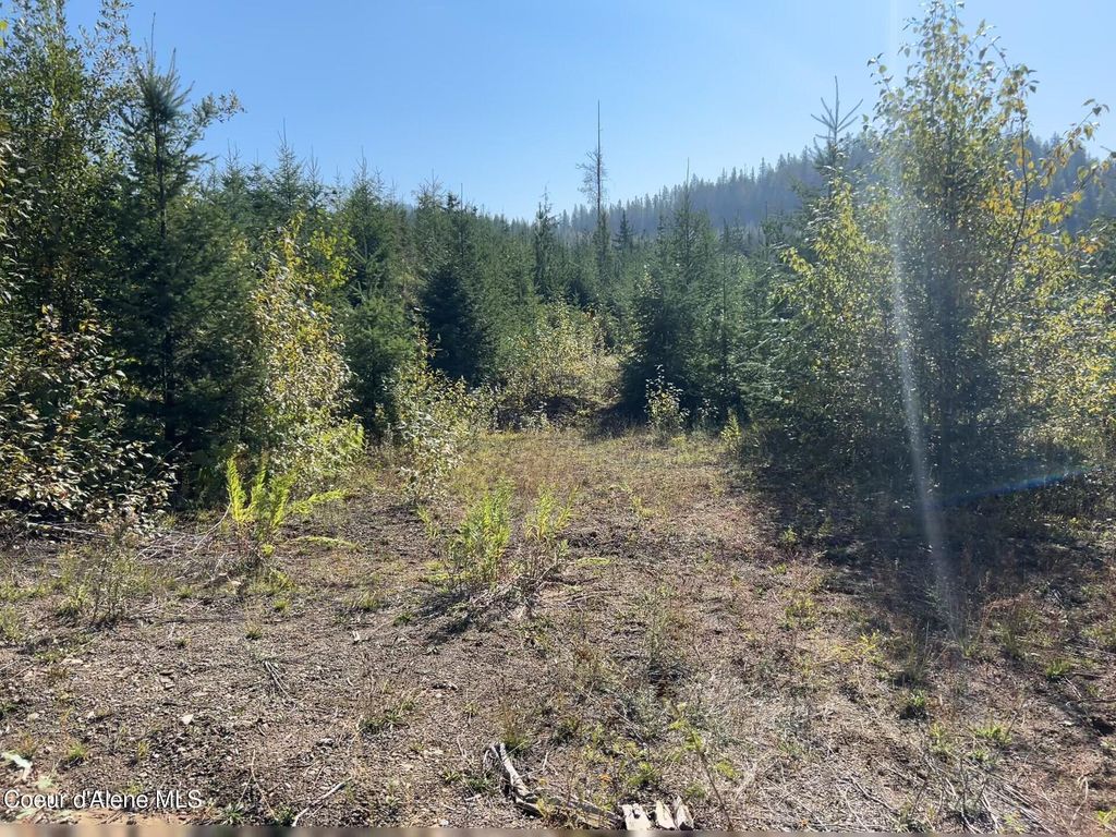 Photo of NKA Tract 4, Clark Fork, ID 83811 (MLS # 25-9928)