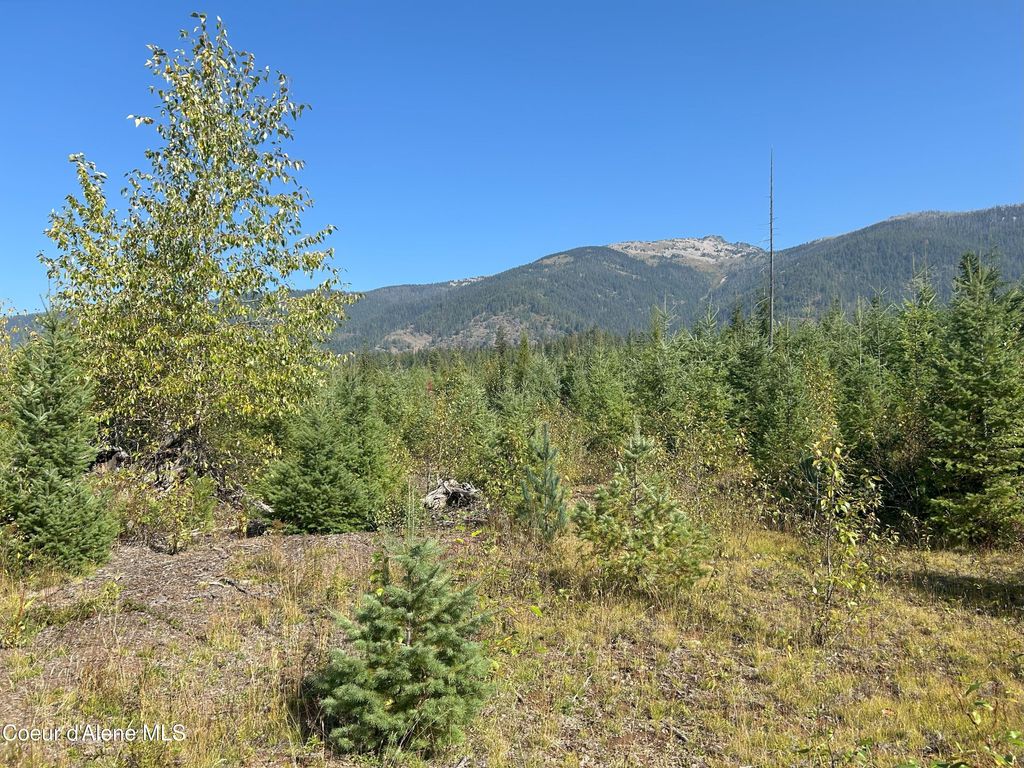 Photo of NKA Tract 4, Clark Fork, ID 83811 (MLS # 25-9928)