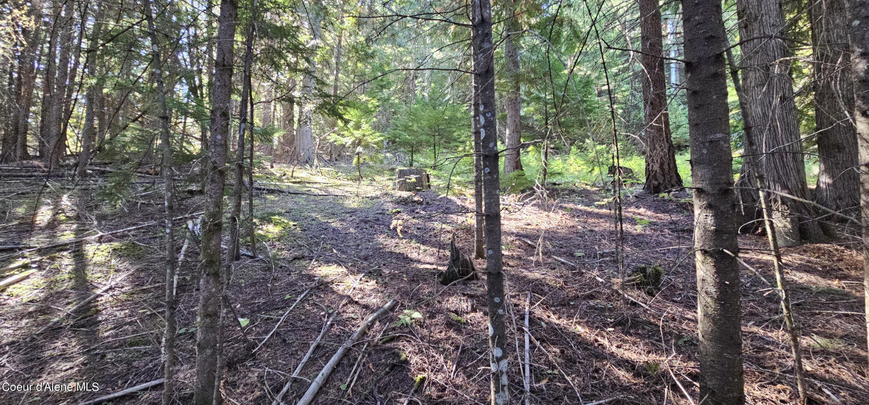 NNA S Poplar St 26 Acres Drive, Cataldo, Idaho image 6