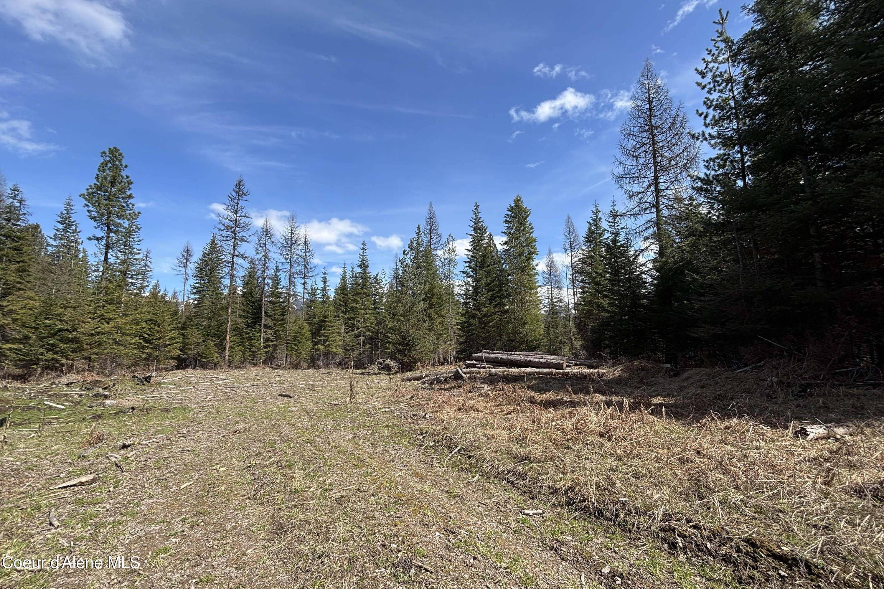 NNA Timber Ridge Trail, Clark Fork, Alaska image 6