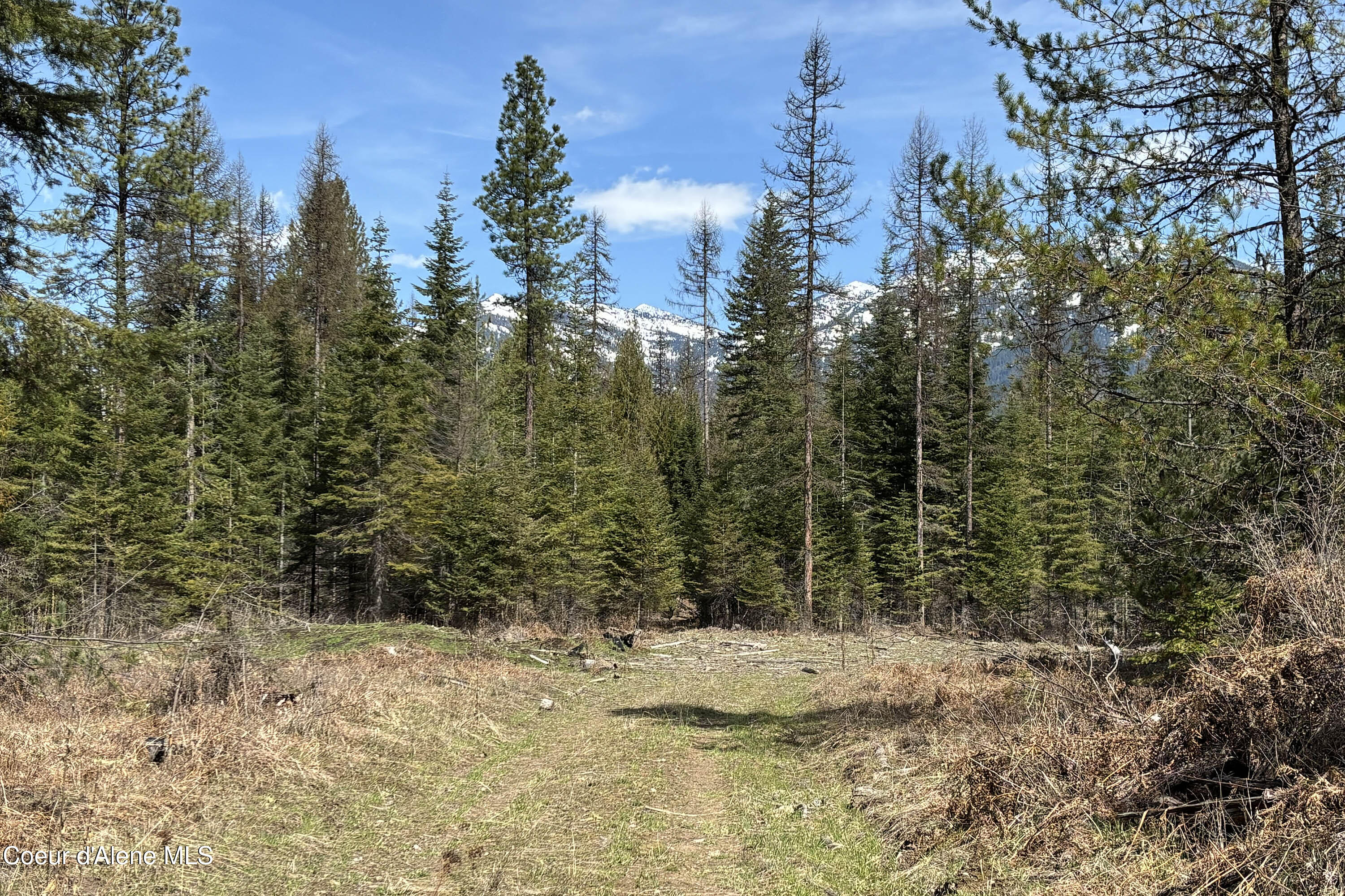 NNA Timber Ridge Trail, Clark Fork, Alaska image 9