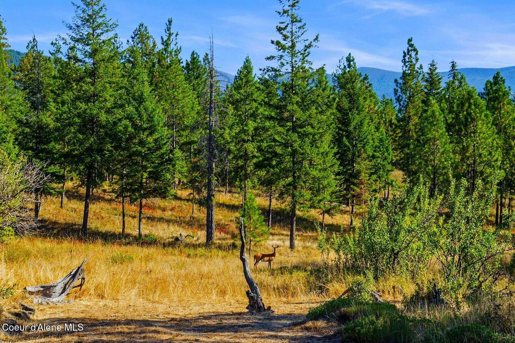 Photo of 528 Glacier RD, Bonners Ferry, ID 83805 (MLS # 26-8910)