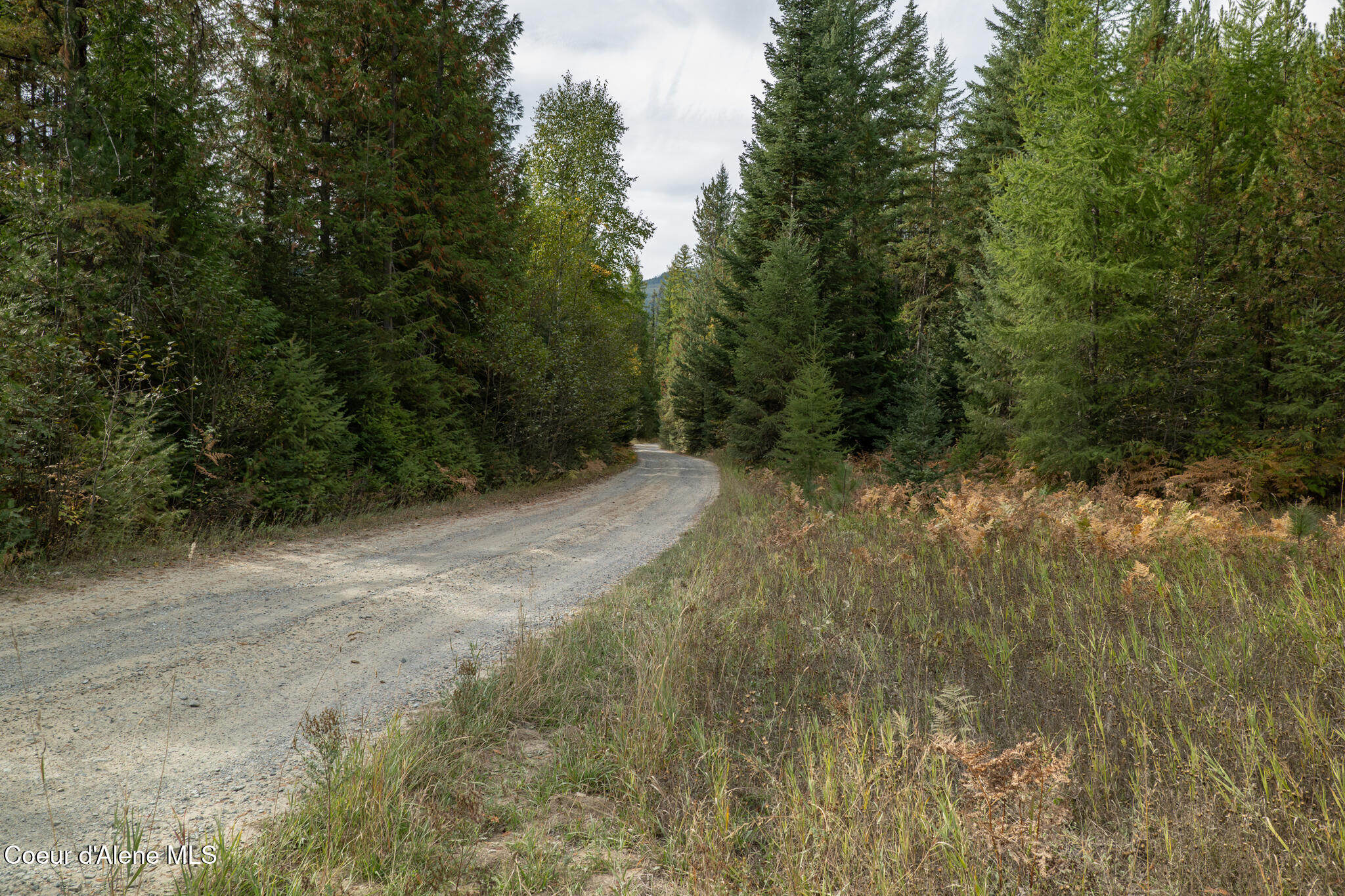 NKA-Lot 2 Wolverine Rd, Moyie Springs, Idaho image 12