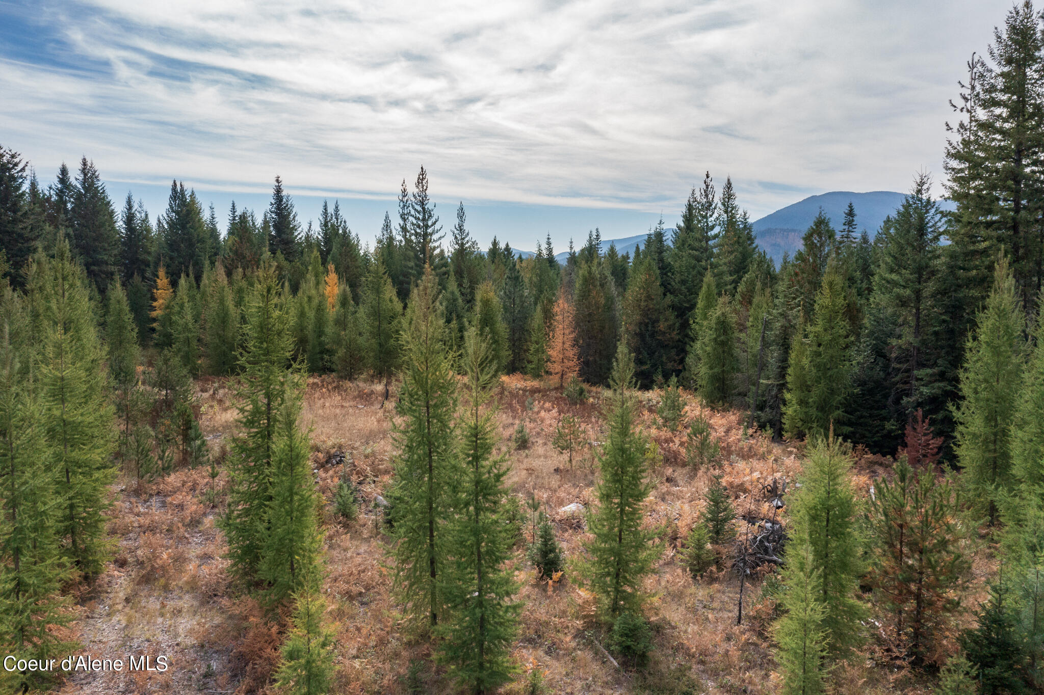 NKA-Lot 2 Wolverine Rd, Moyie Springs, Idaho image 4