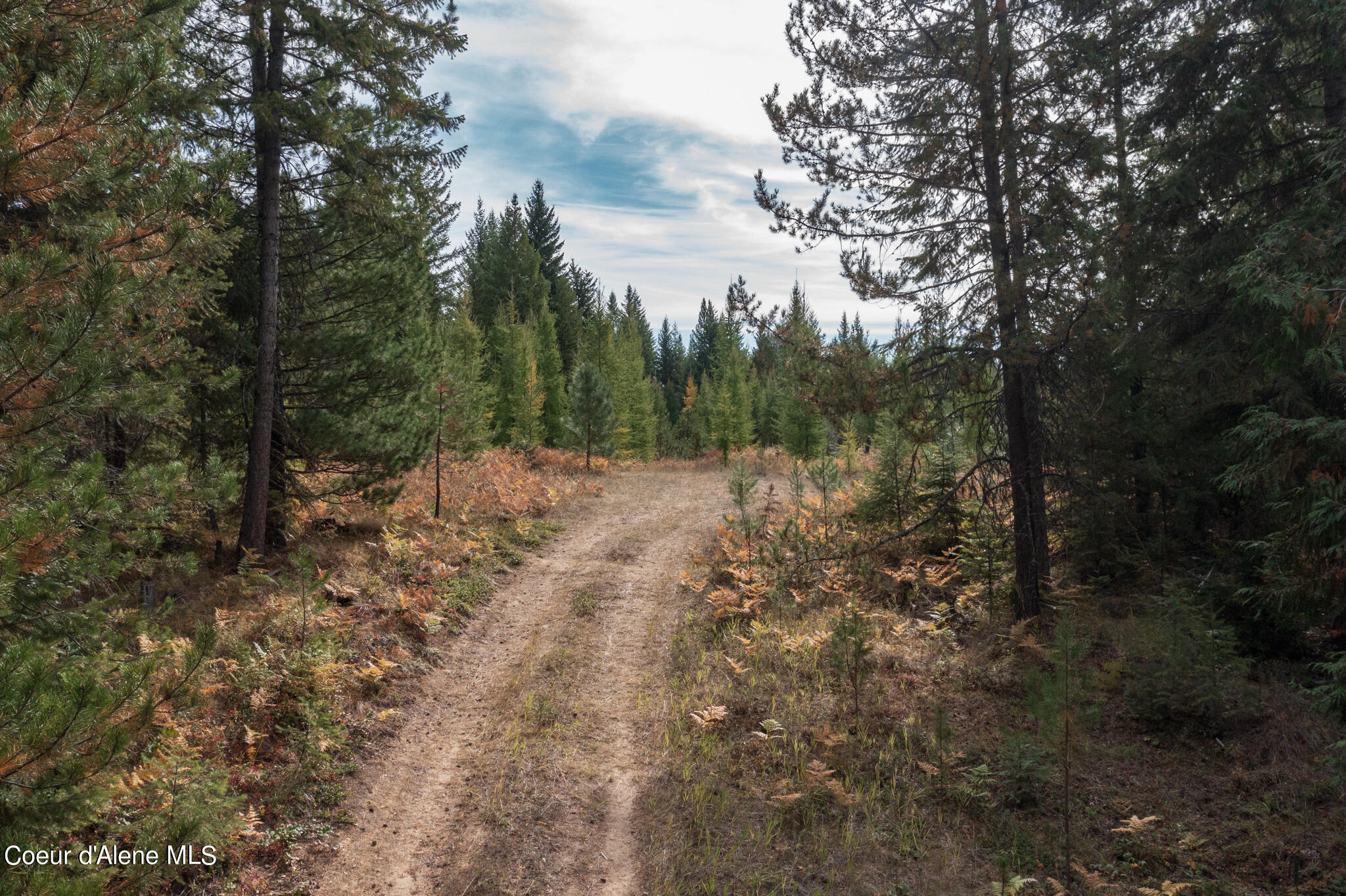 NKA-Lot 2 Wolverine Rd, Moyie Springs, Idaho image 26