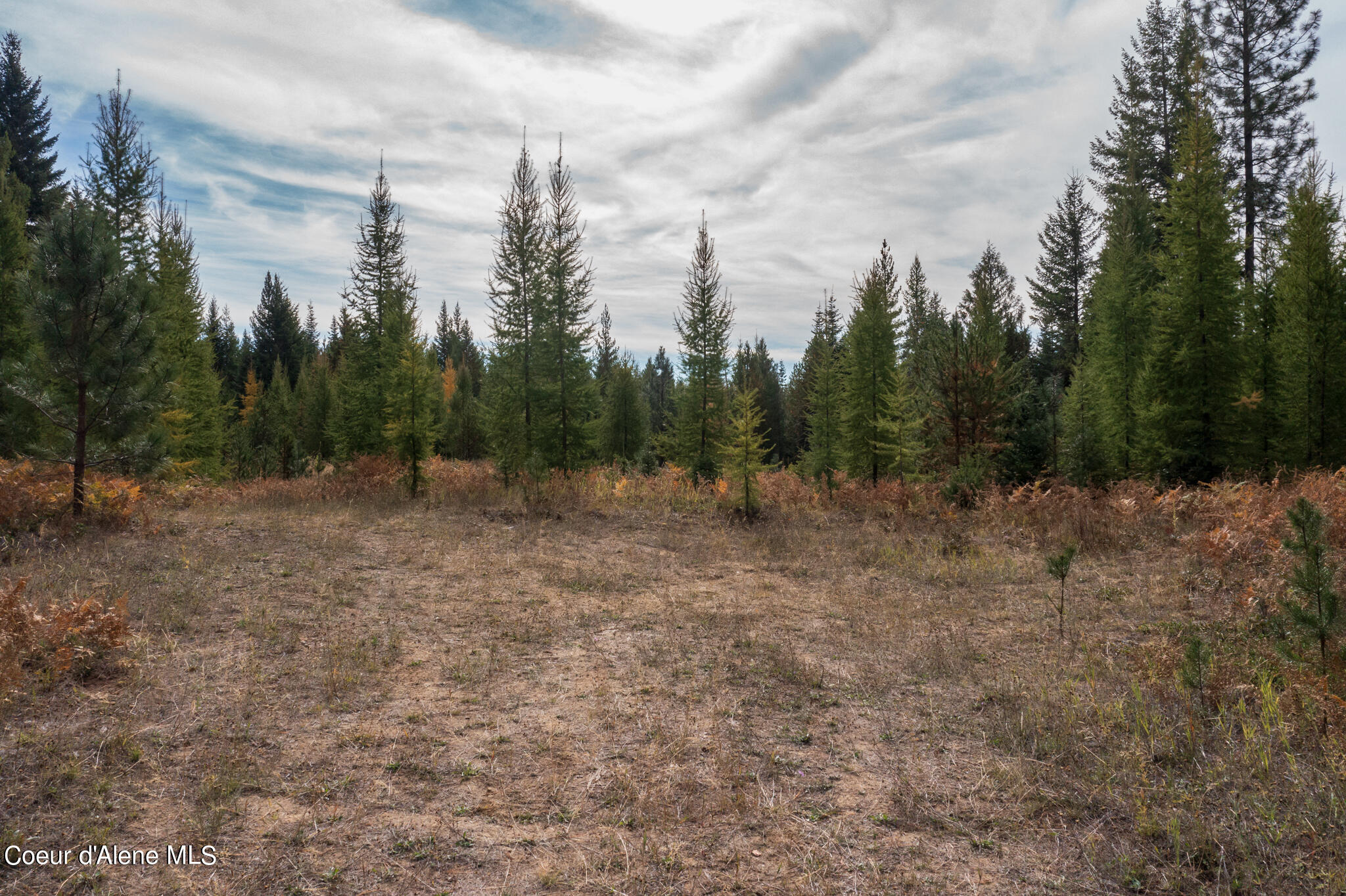 NKA-Lot 2 Wolverine Rd, Moyie Springs, Idaho image 7