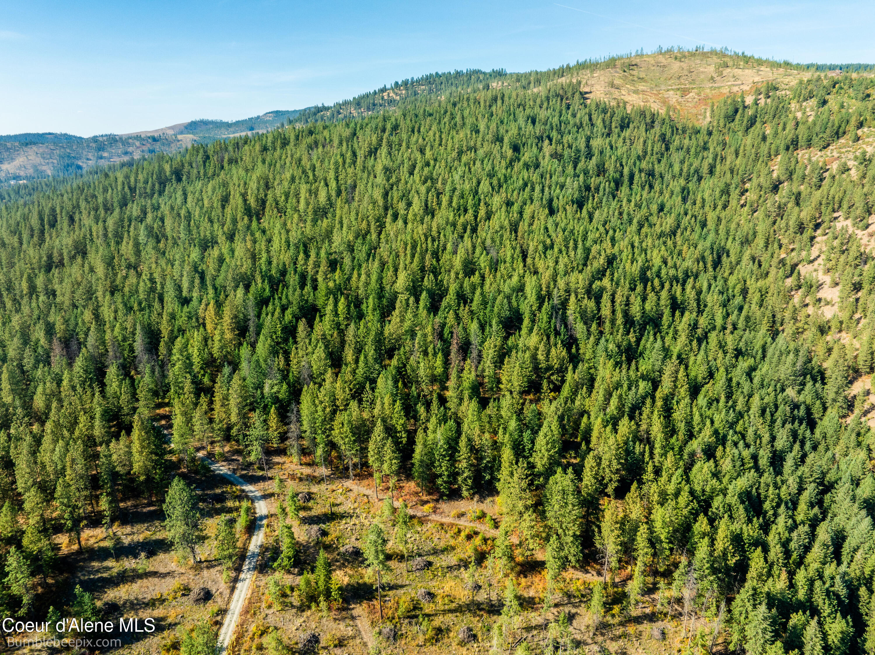 NNA Usfs 2550, Blanchard, Idaho image 9