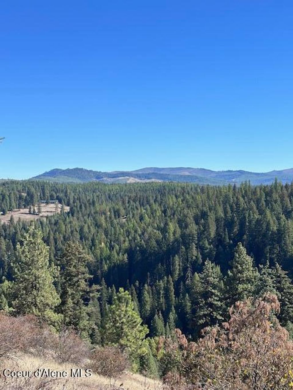 Photo of Lot 2 Flat Creek Creek, St. Maries, ID 83861 (MLS # 25-10149)