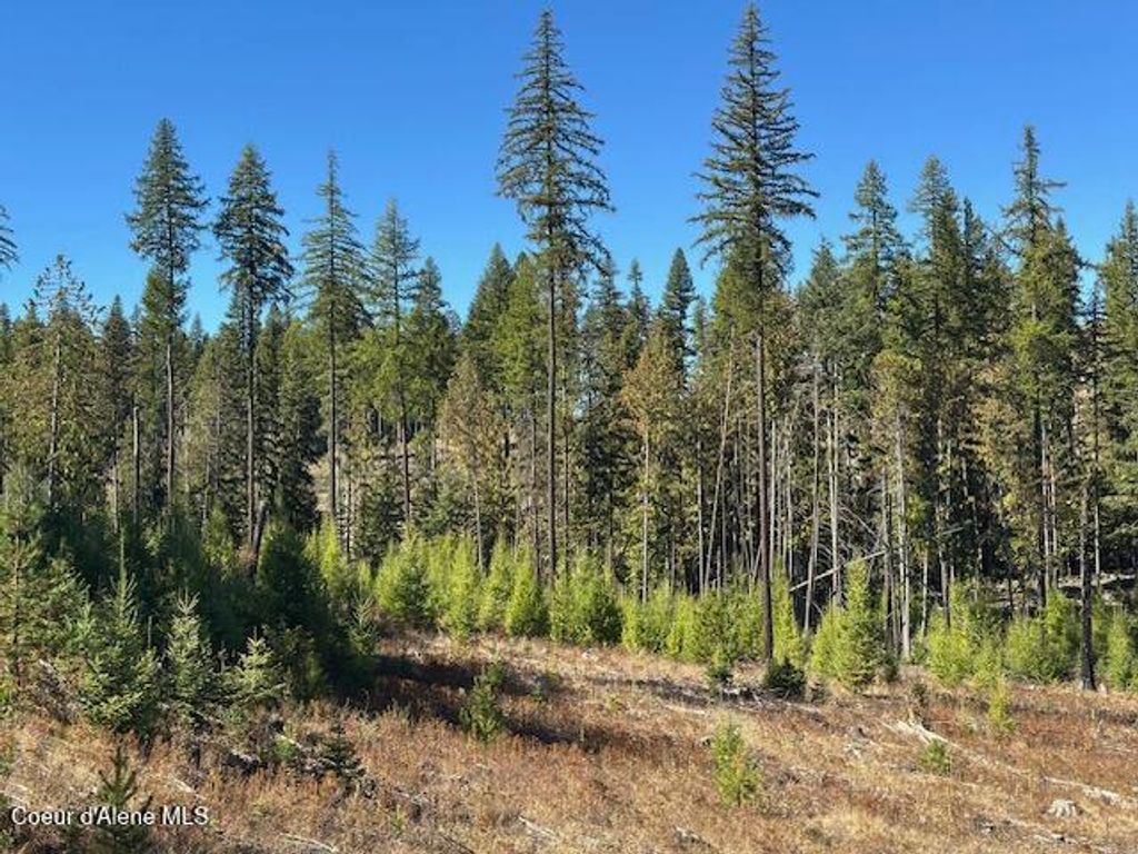 Photo of Lot 2 Flat Creek Creek, St. Maries, ID 83861 (MLS # 25-10149)