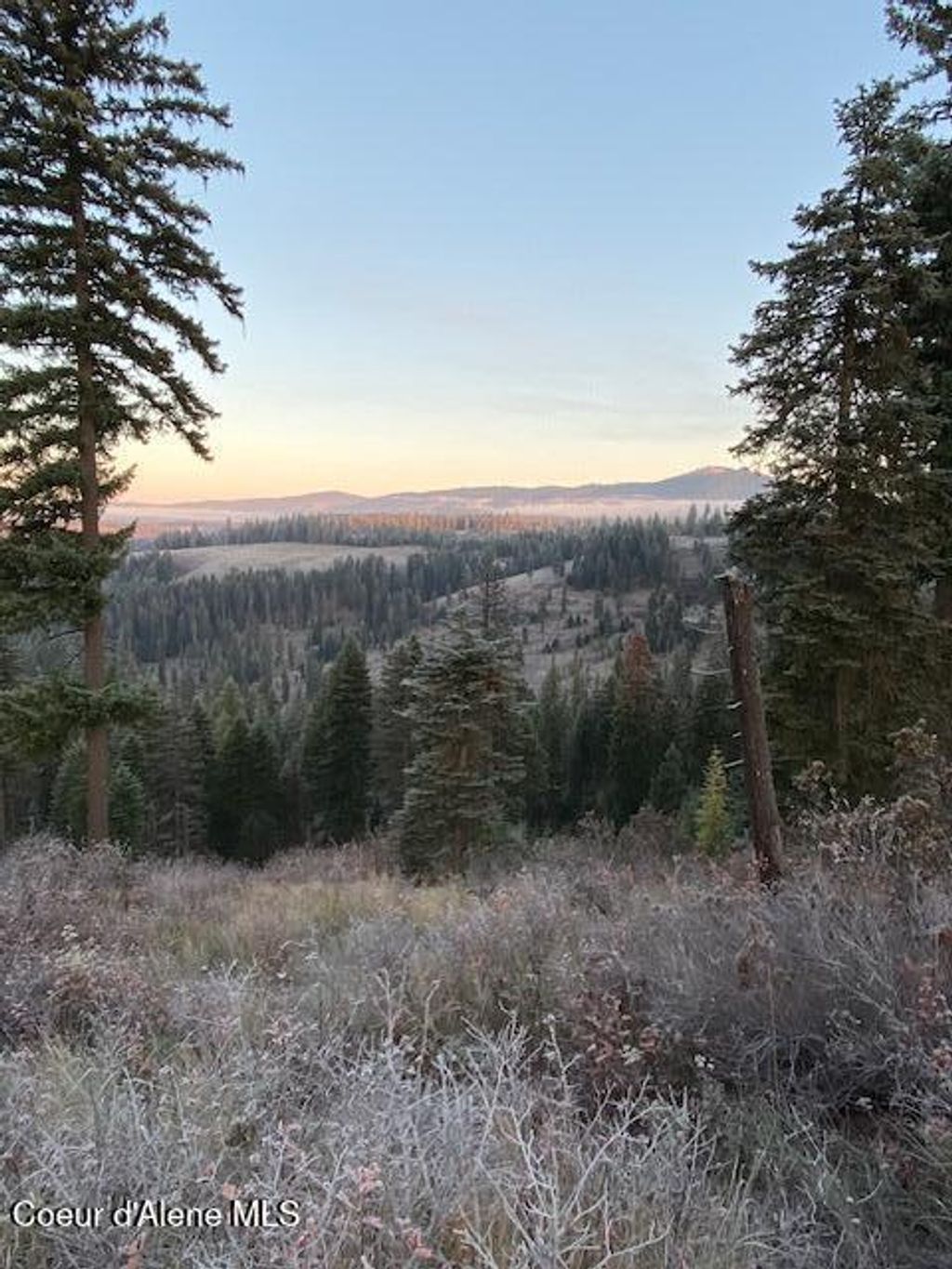 Photo of Lot 2 Flat Creek Creek, St. Maries, ID 83861 (MLS # 25-10149)