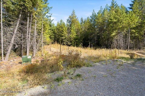 Vacant Land For Sale - LOT 3 Sawbuck Rd<br/> Spirit Lake, ID 83869
