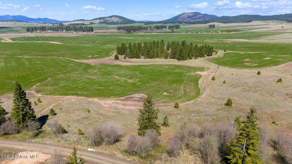 Photo of Lot 3 Lone Moose Dr Dr, Plummer, ID 83851 (MLS # 26-3187)