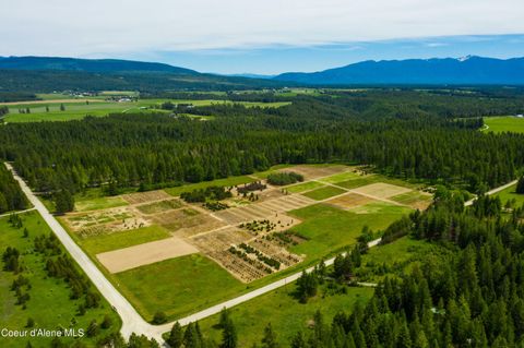 Vacant Land For Sale - NNA Holmes Rd Rd<br/> Boundary County, Bonners Ferry, ID 83805