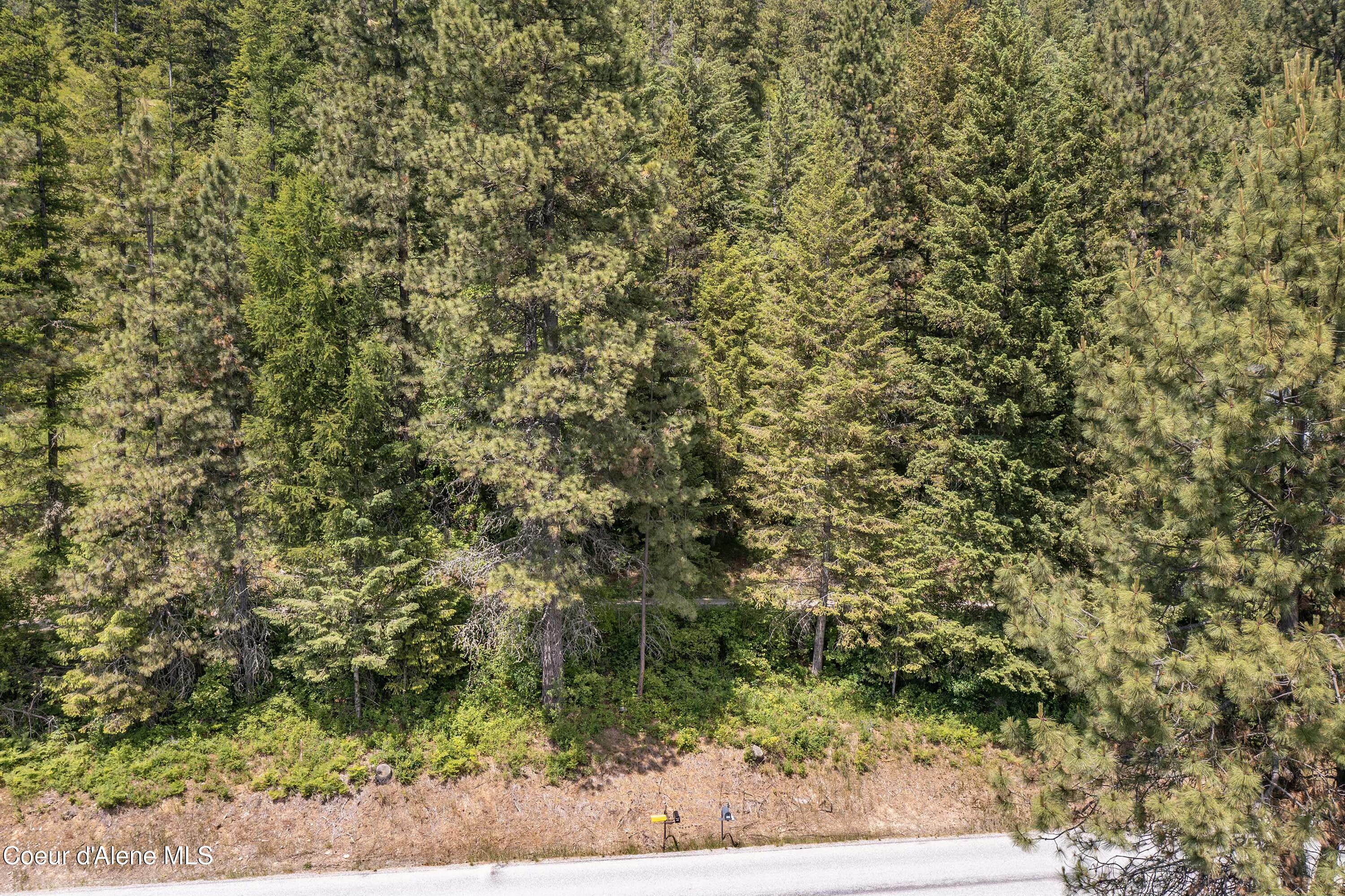 NNA Lower Pack River  Lot 14 Rd, Sandpoint, Idaho image 5