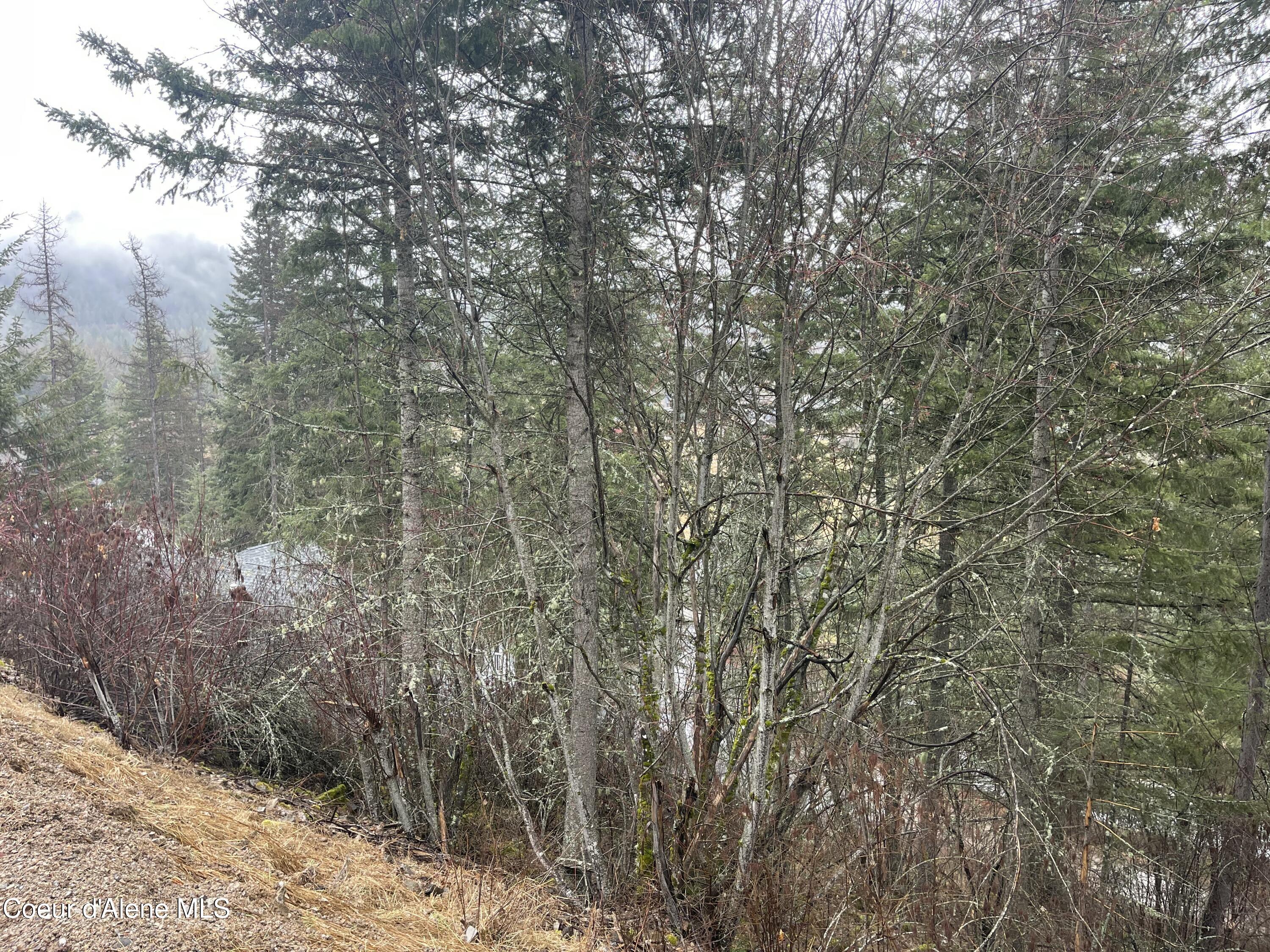 NNA Lower Pack River  Lot 14 Rd, Sandpoint, Idaho image 13