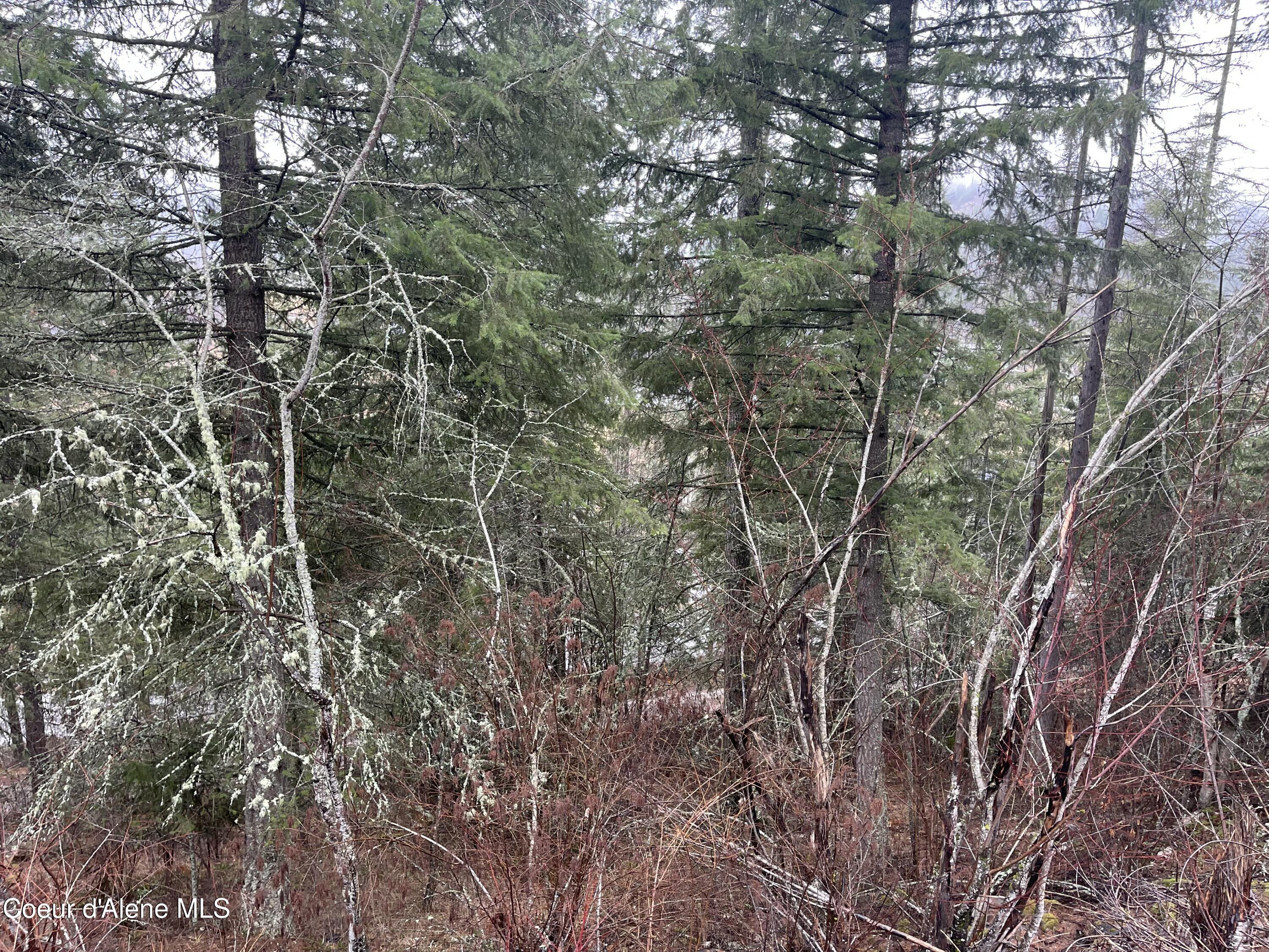 NNA Lower Pack River  Lot 14 Rd, Sandpoint, Idaho image 16