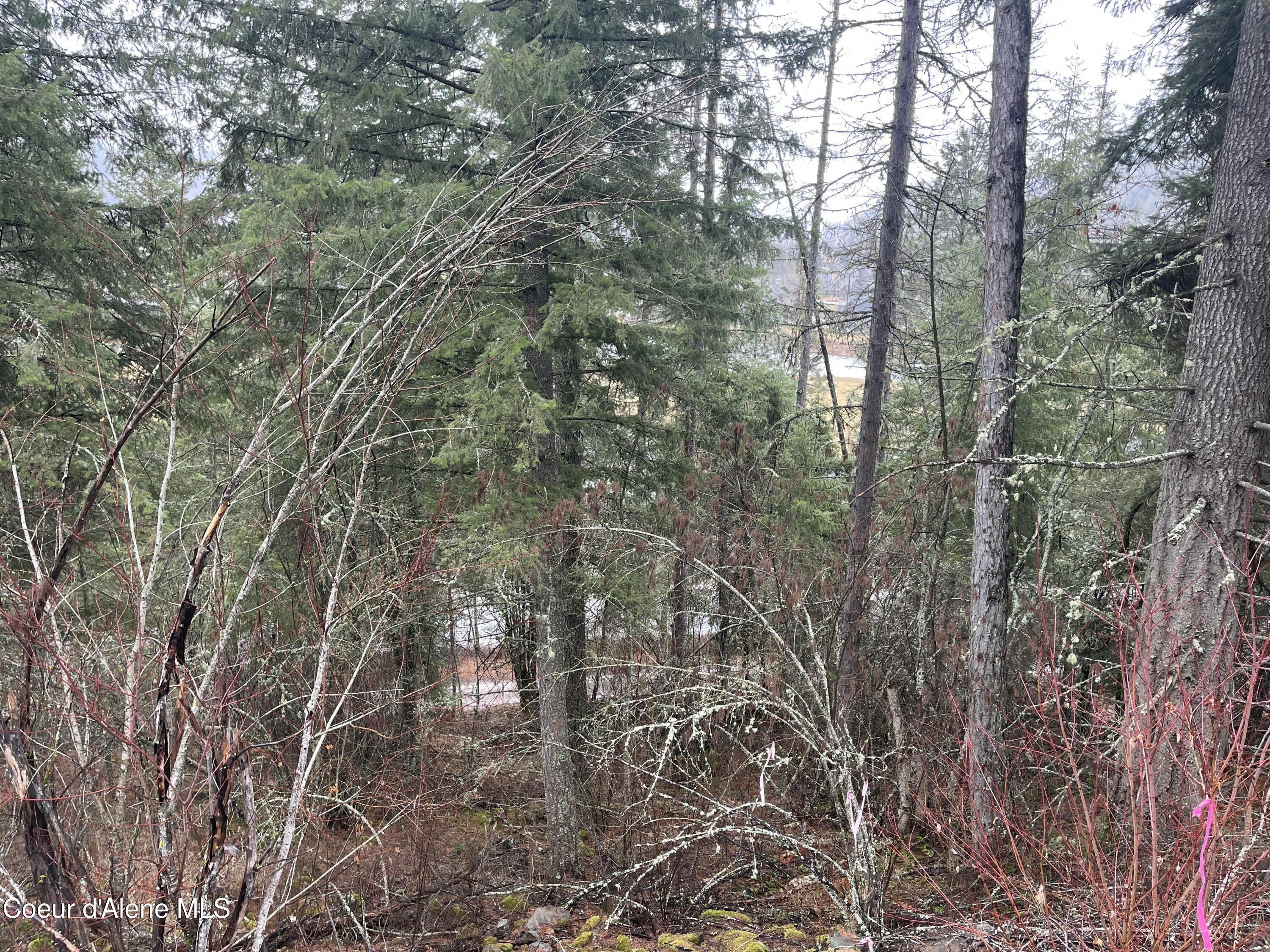 NNA Lower Pack River  Lot 14 Rd, Sandpoint, Idaho image 17